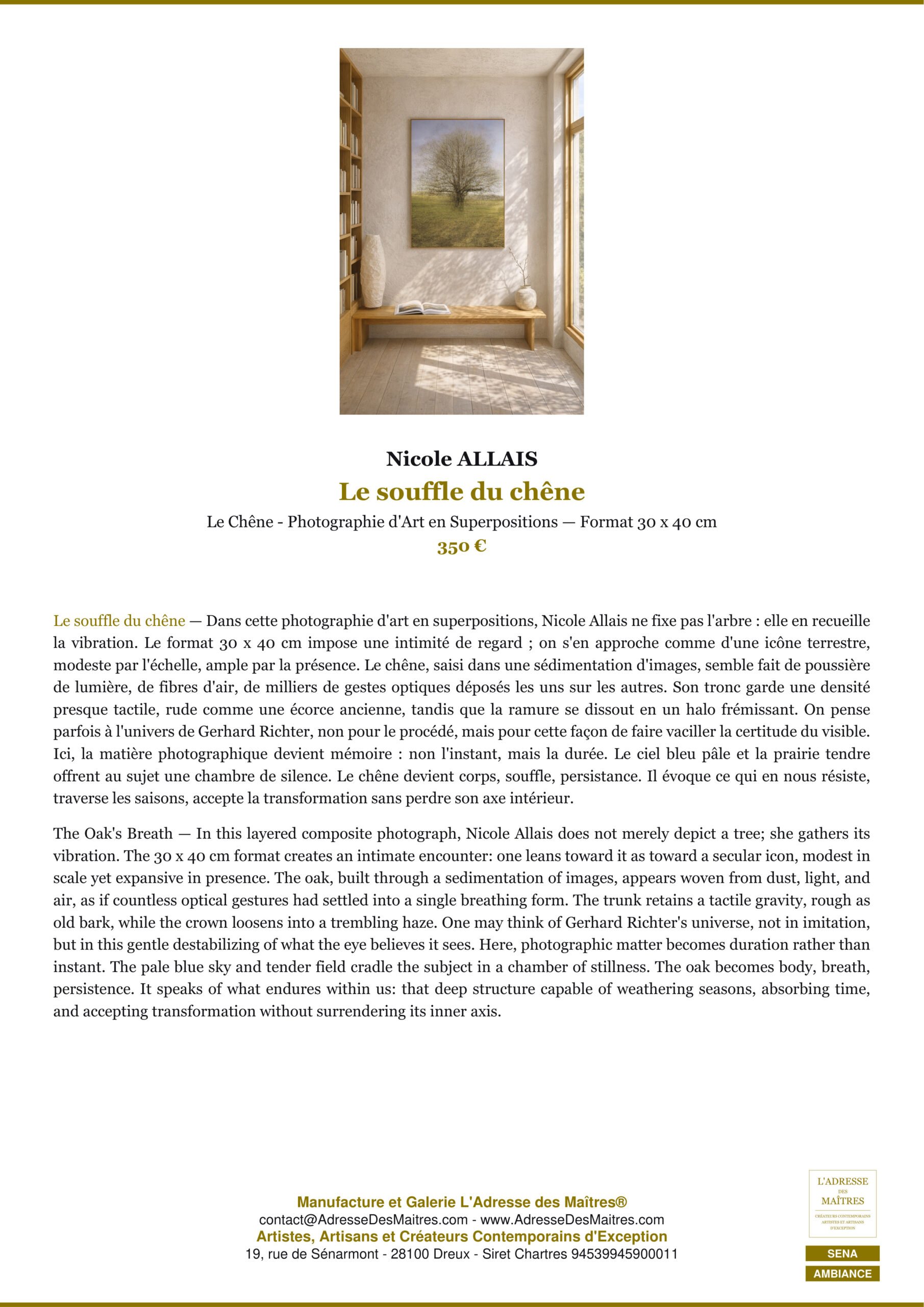 La fotografía artística — Cuando la foto se convierte en obra de arte — L'Adresse des Maîtres®