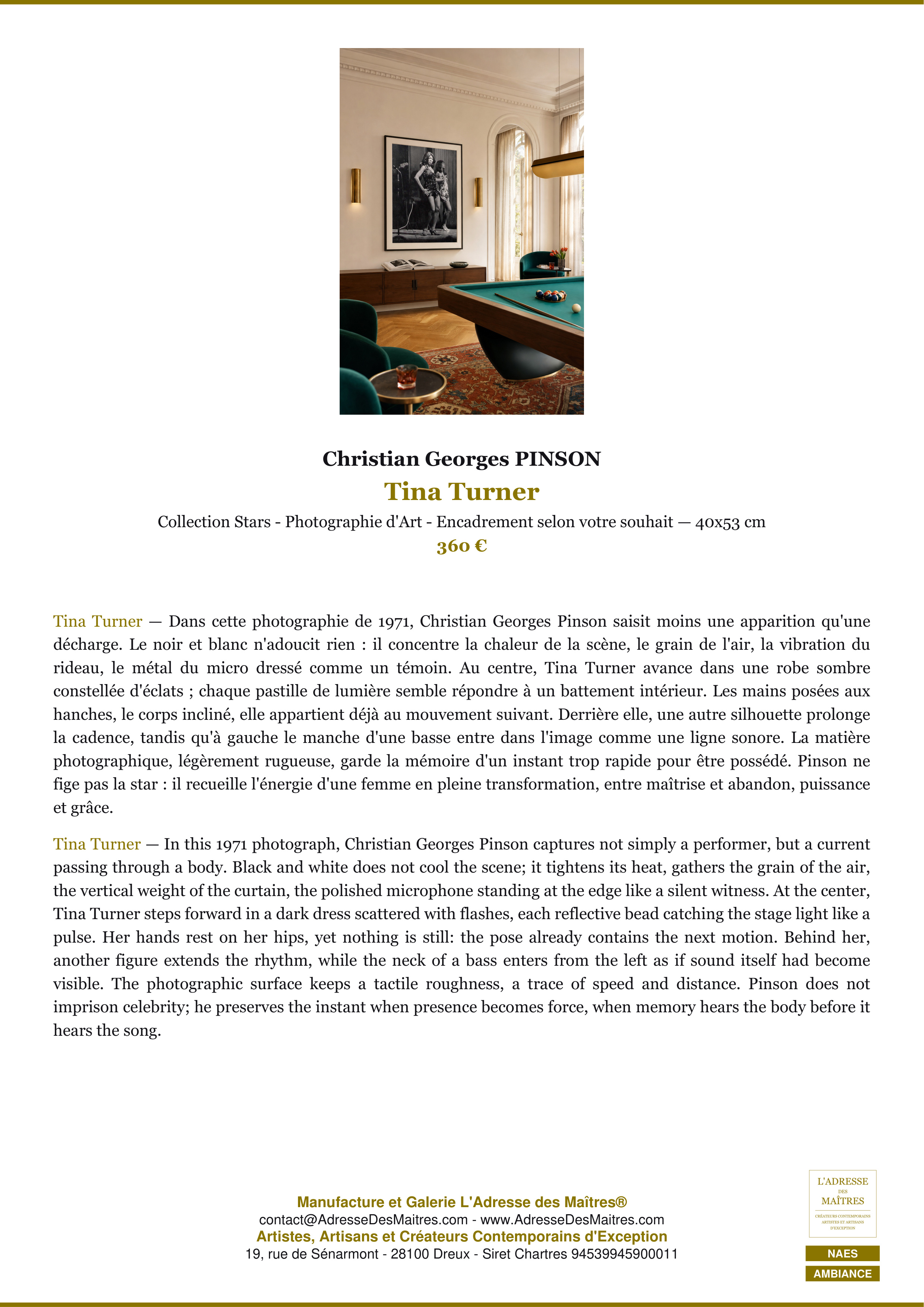 Fiche Premium Ambiance — Tina Turner — Christian Georges PINSON — L'Adresse des Maîtres®
