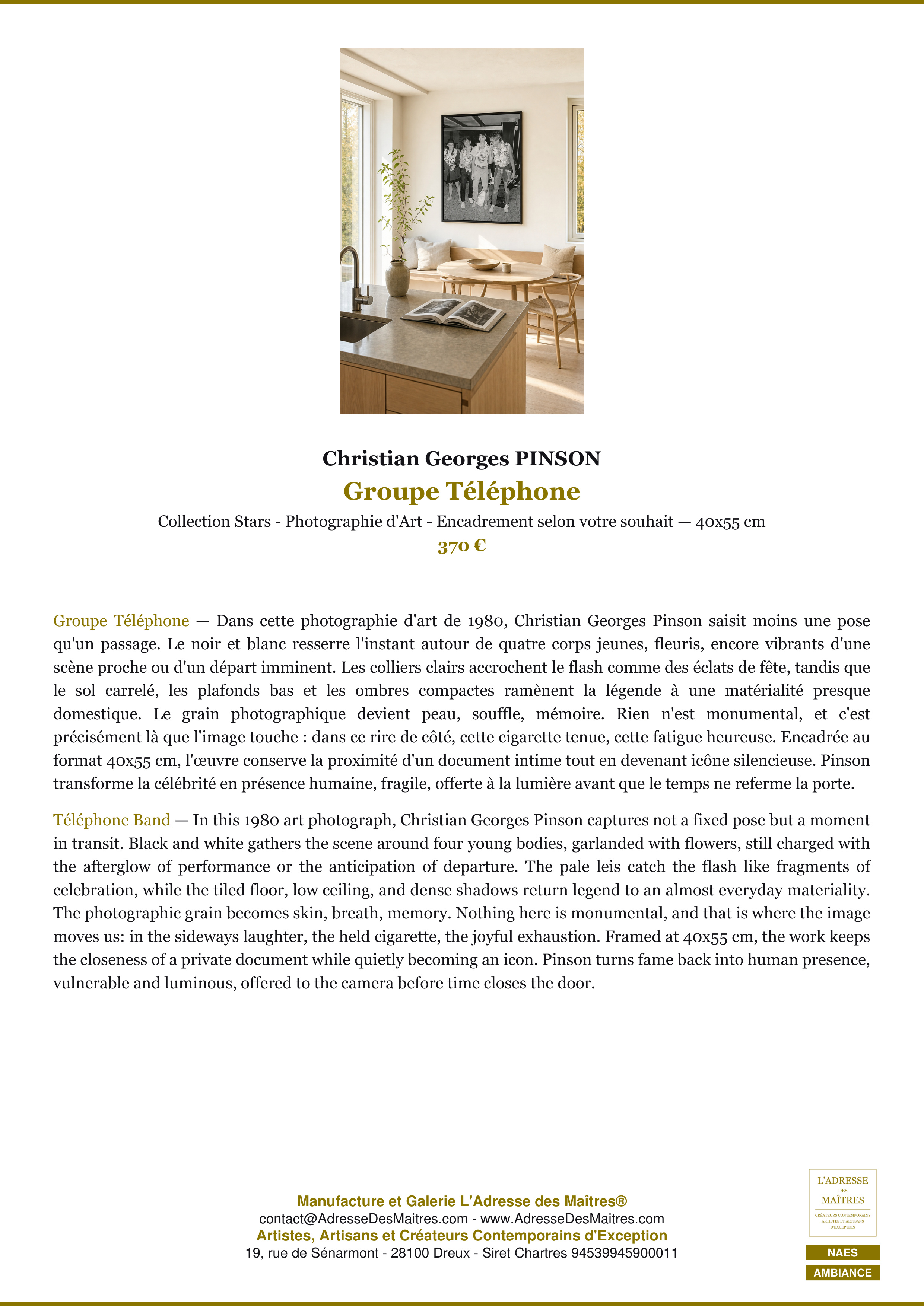 Fiche Premium Ambiance — Groupe Téléphone — Christian Georges PINSON — L'Adresse des Maîtres®