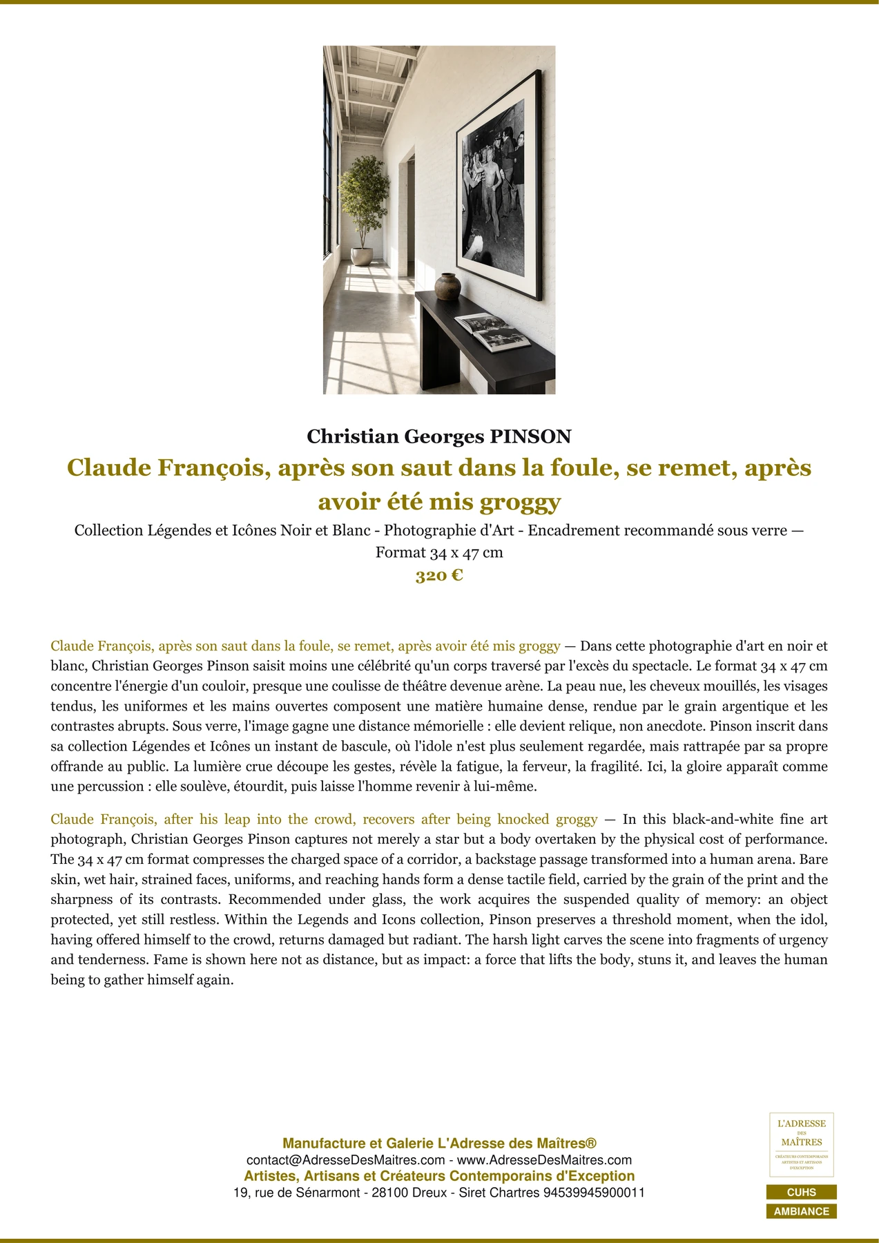 Fiche Premium Ambiance - Claude François, après son saut dans la foule, se remet, après avoir été mis groggy - Christian Georges PINSON - L'Adresse des Maîtres®