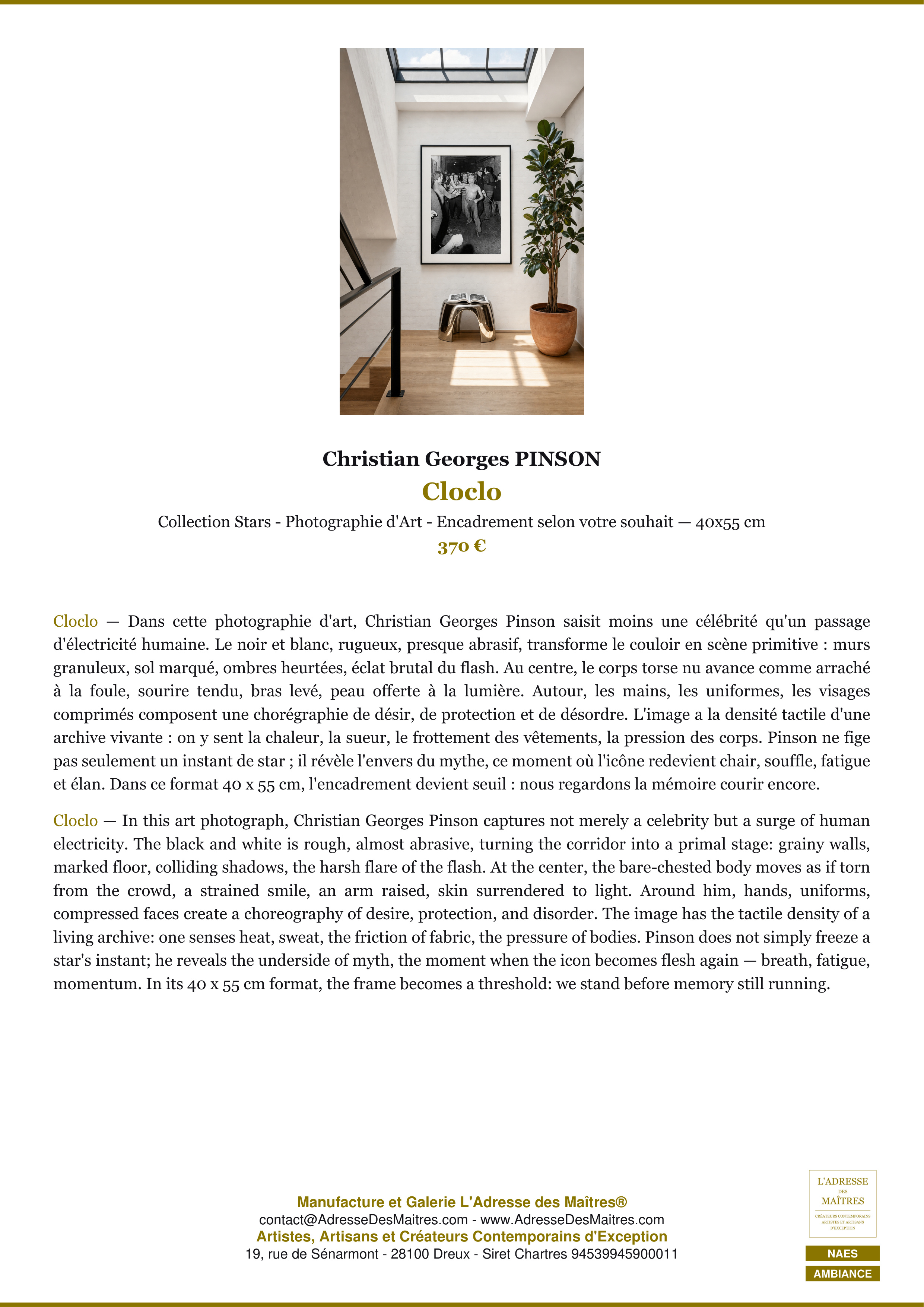 Fiche Premium Ambiance — Cloclo — Christian Georges PINSON — L'Adresse des Maîtres®