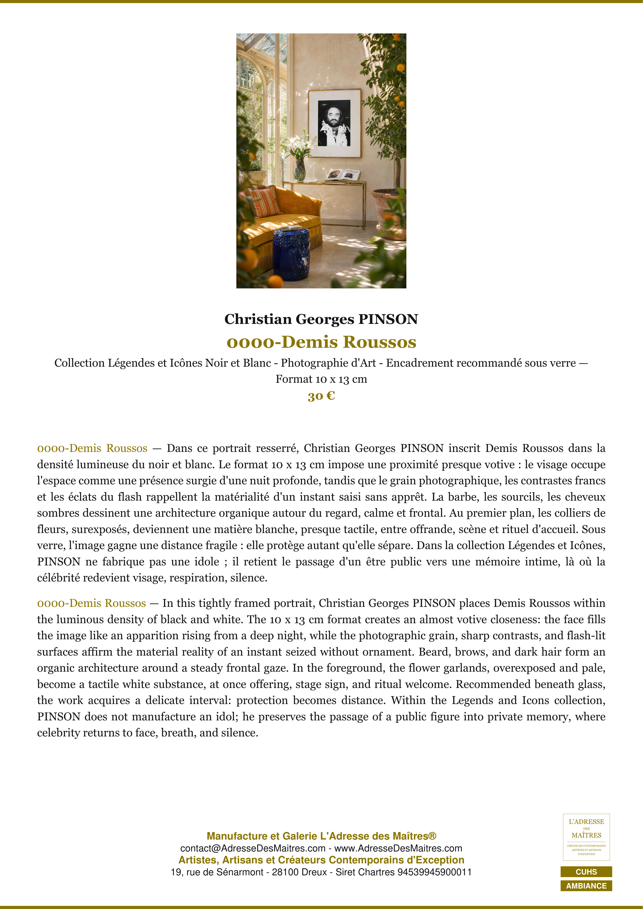 Fiche Premium Ambiance — 0000-Demis Roussos — Christian Georges PINSON — L'Adresse des Maîtres®
