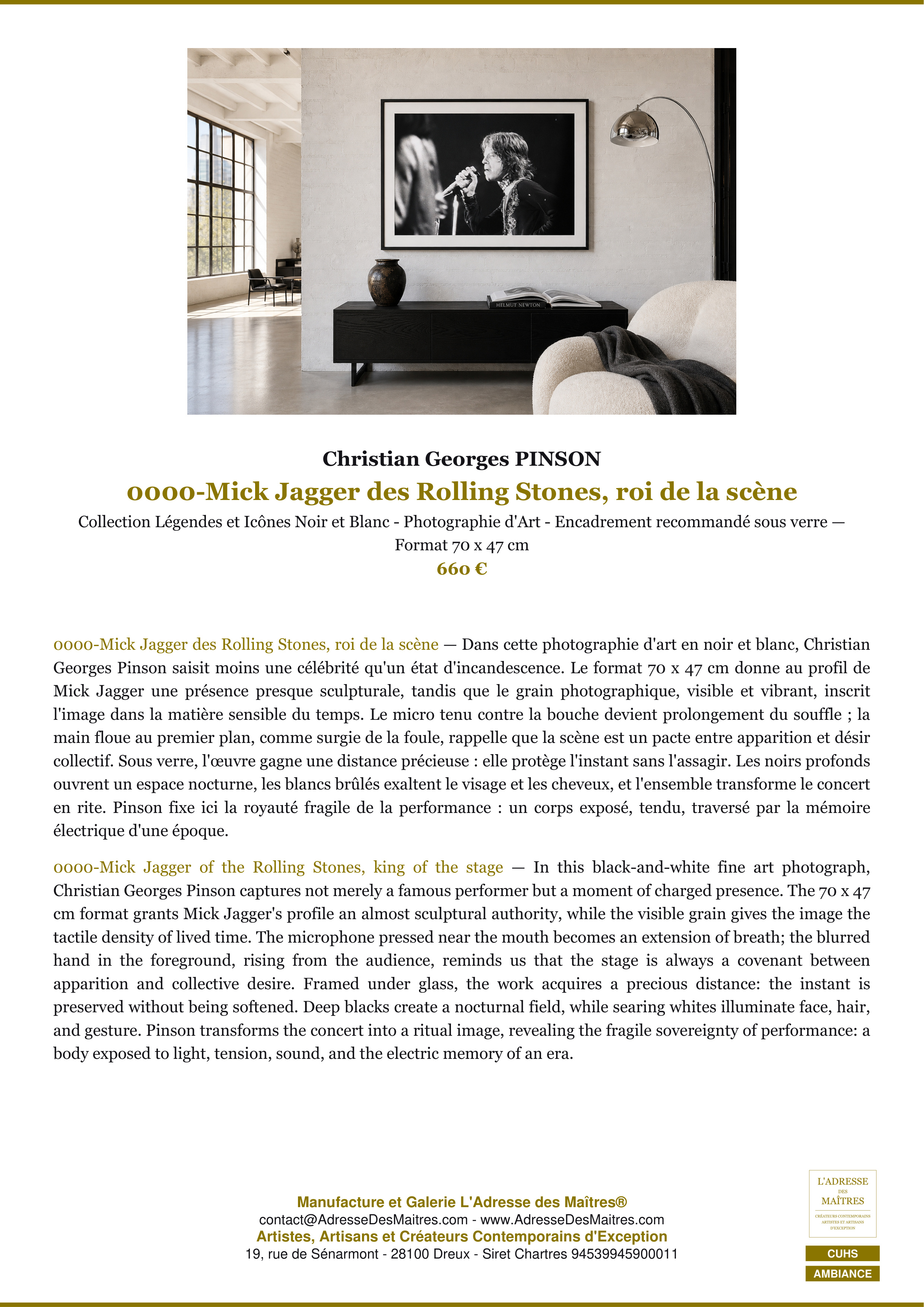 Fiche Premium Ambiance — 0000-Mick Jagger des Rolling Stones, roi de la scène — Christian Georges PINSON — L'Adresse des Maîtres®