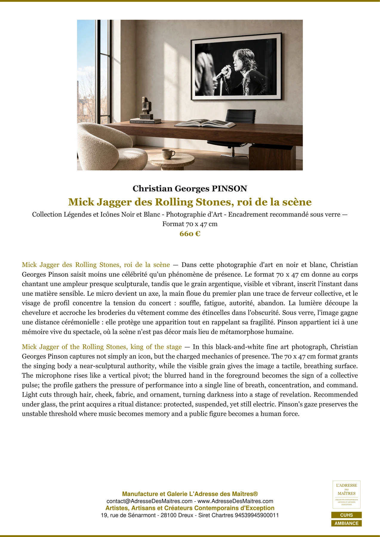Fiche Premium Ambiance - Mick Jagger des Rolling Stones, roi de la scène - Christian Georges PINSON - L'Adresse des Maîtres®