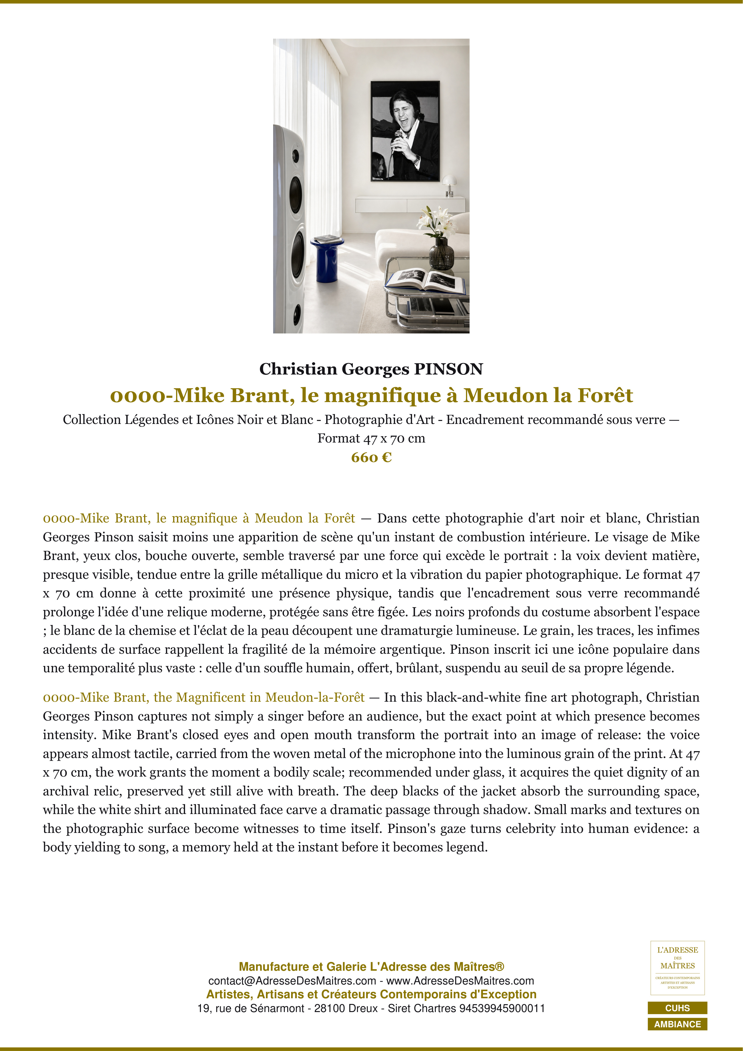 Fiche Premium Ambiance — 0000-Mike Brant, le magnifique à Meudon la Forêt — Christian Georges PINSON — L'Adresse des Maîtres®