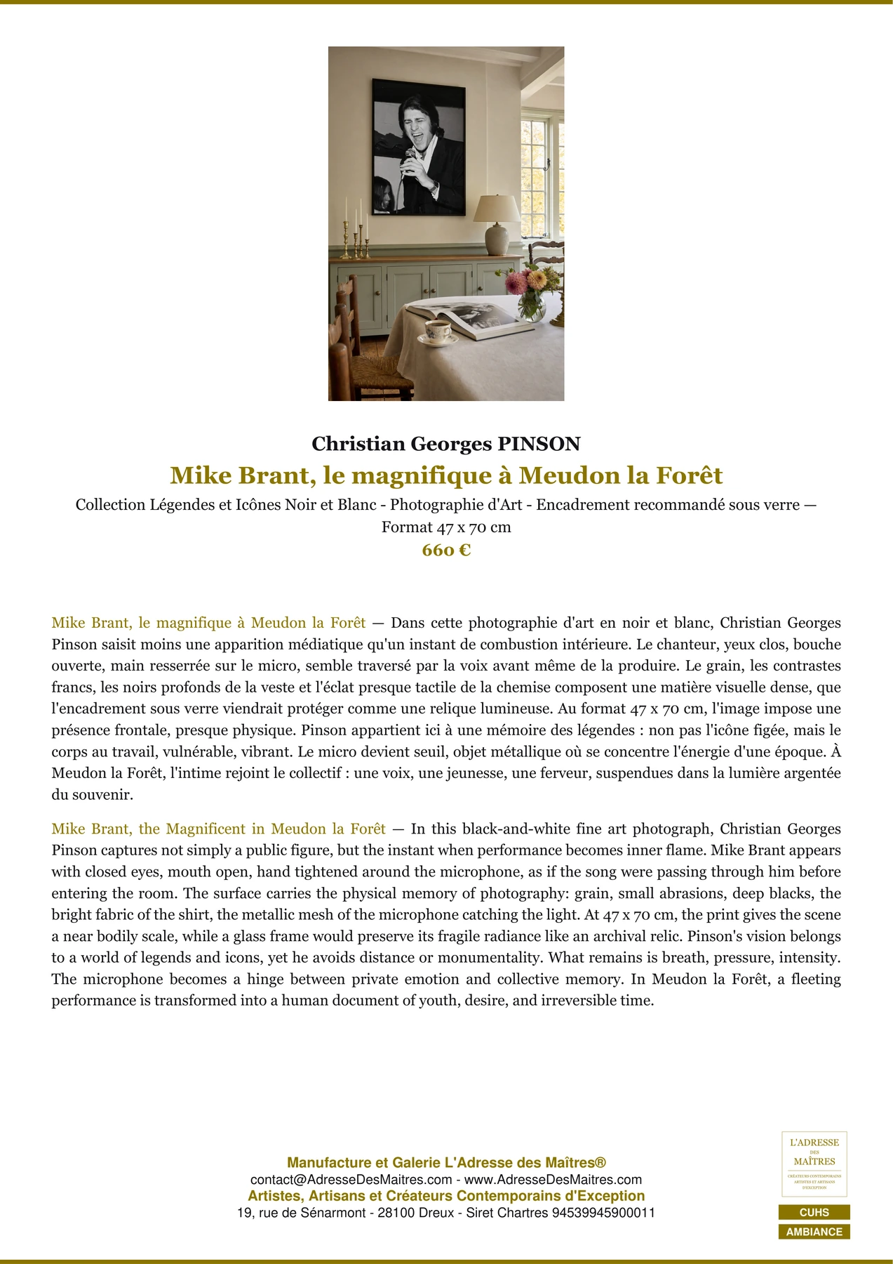 Fiche Premium Ambiance - Mike Brant, le magnifique à Meudon la Forêt - Christian Georges PINSON - L'Adresse des Maîtres®