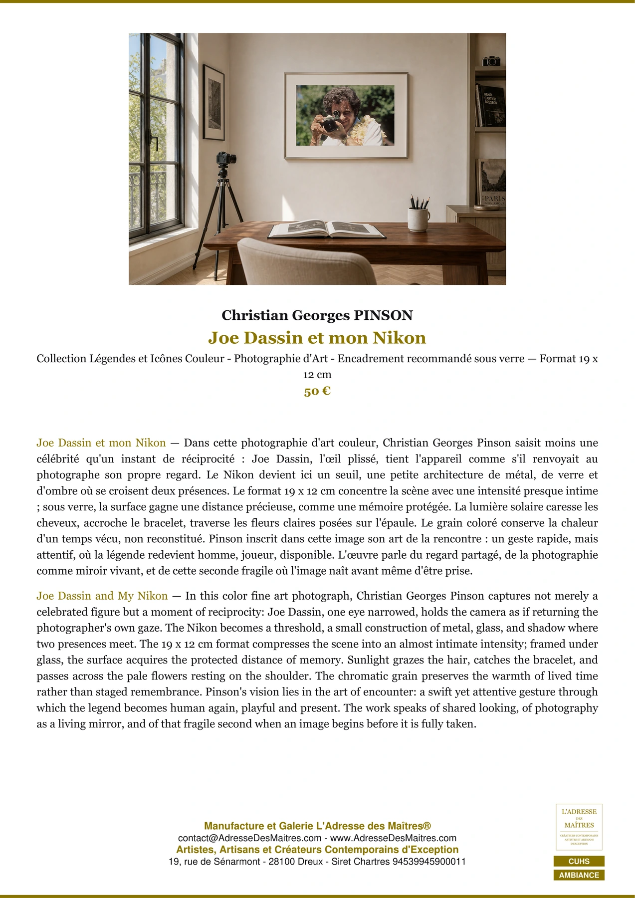 Fiche Premium Ambiance - Joe Dassin et mon Nikon - Christian Georges PINSON - L'Adresse des Maîtres®