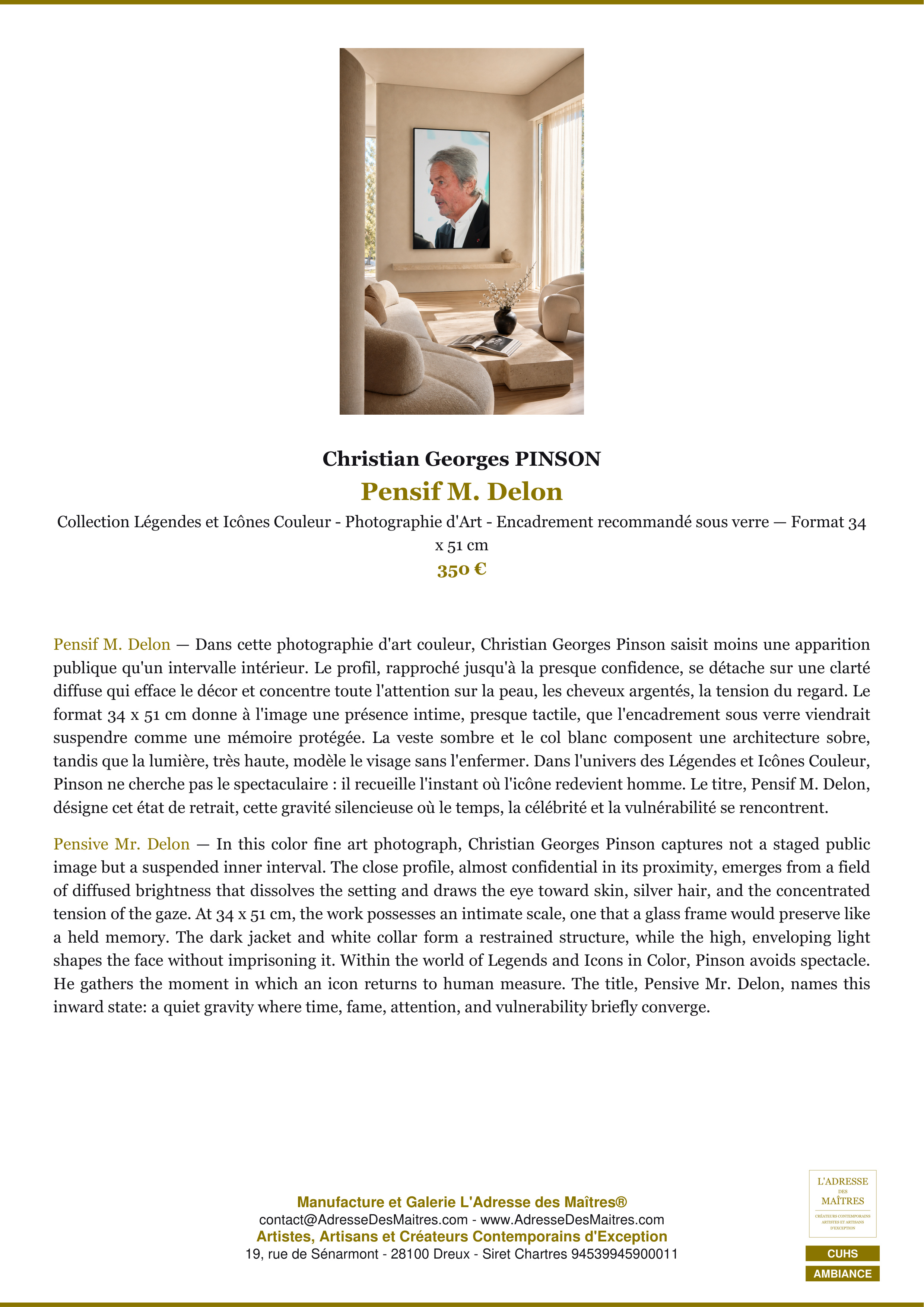 Fiche Premium Ambiance — Pensif M. Delon — Christian Georges PINSON — L'Adresse des Maîtres®