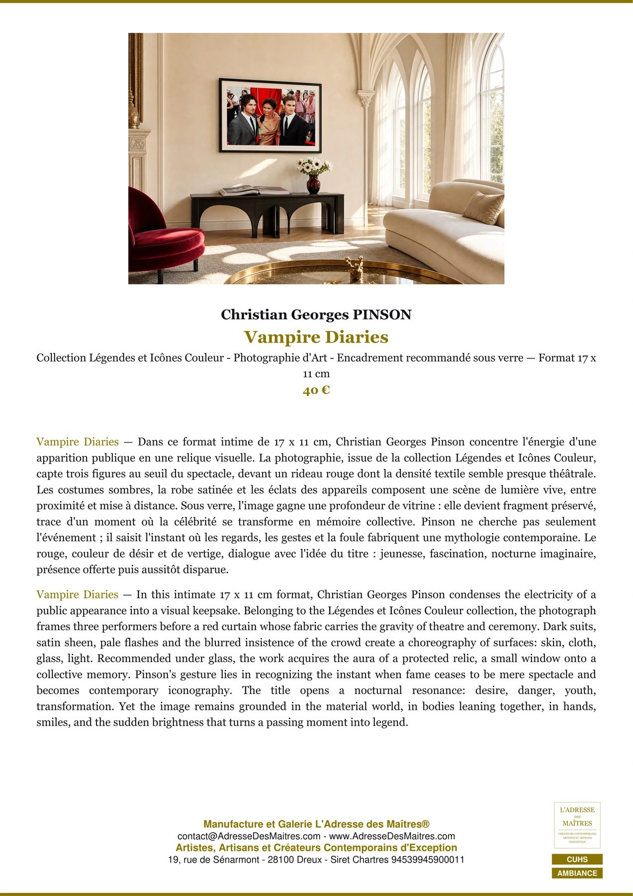 Fiche Premium Ambiance - Vampire Diaries - Christian Georges PINSON - L'Adresse des Maîtres®