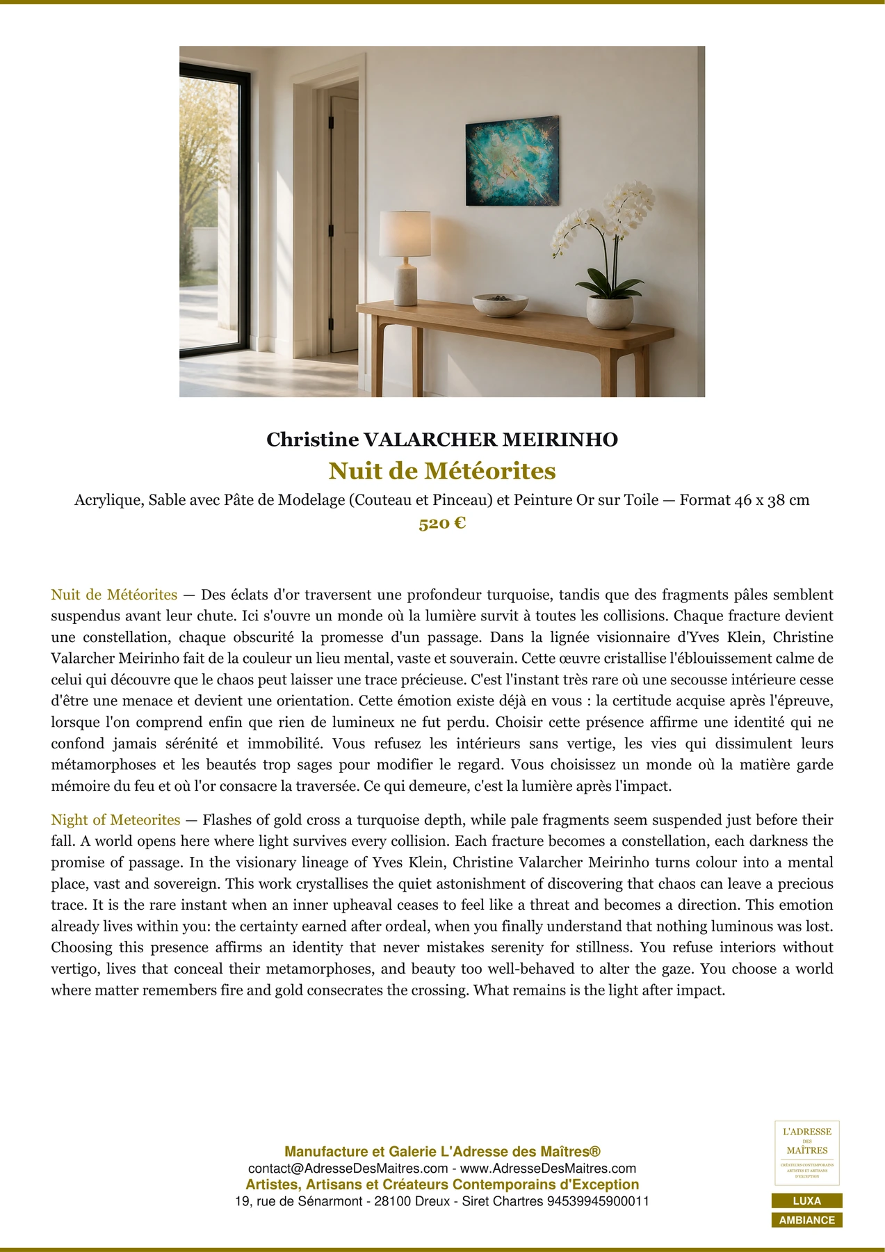 Fiche Premium Ambiance — Nuit de Météorites — Christine VALARCHER MEIRINHO — L'Adresse des Maîtres®