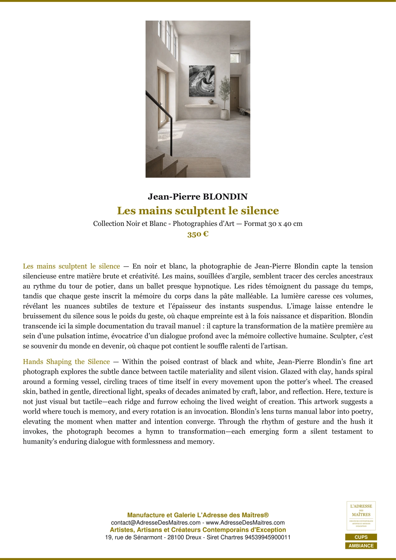Fiche Premium Ambiance - Les mains sculptent le silence - Jean-Pierre BLONDIN - L'Adresse des Maîtres®