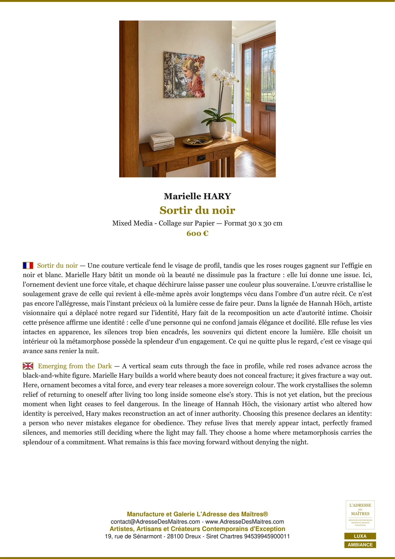 Fiche Premium Ambiance - Sortir du noir - Marielle HARY - L'Adresse des Maîtres®