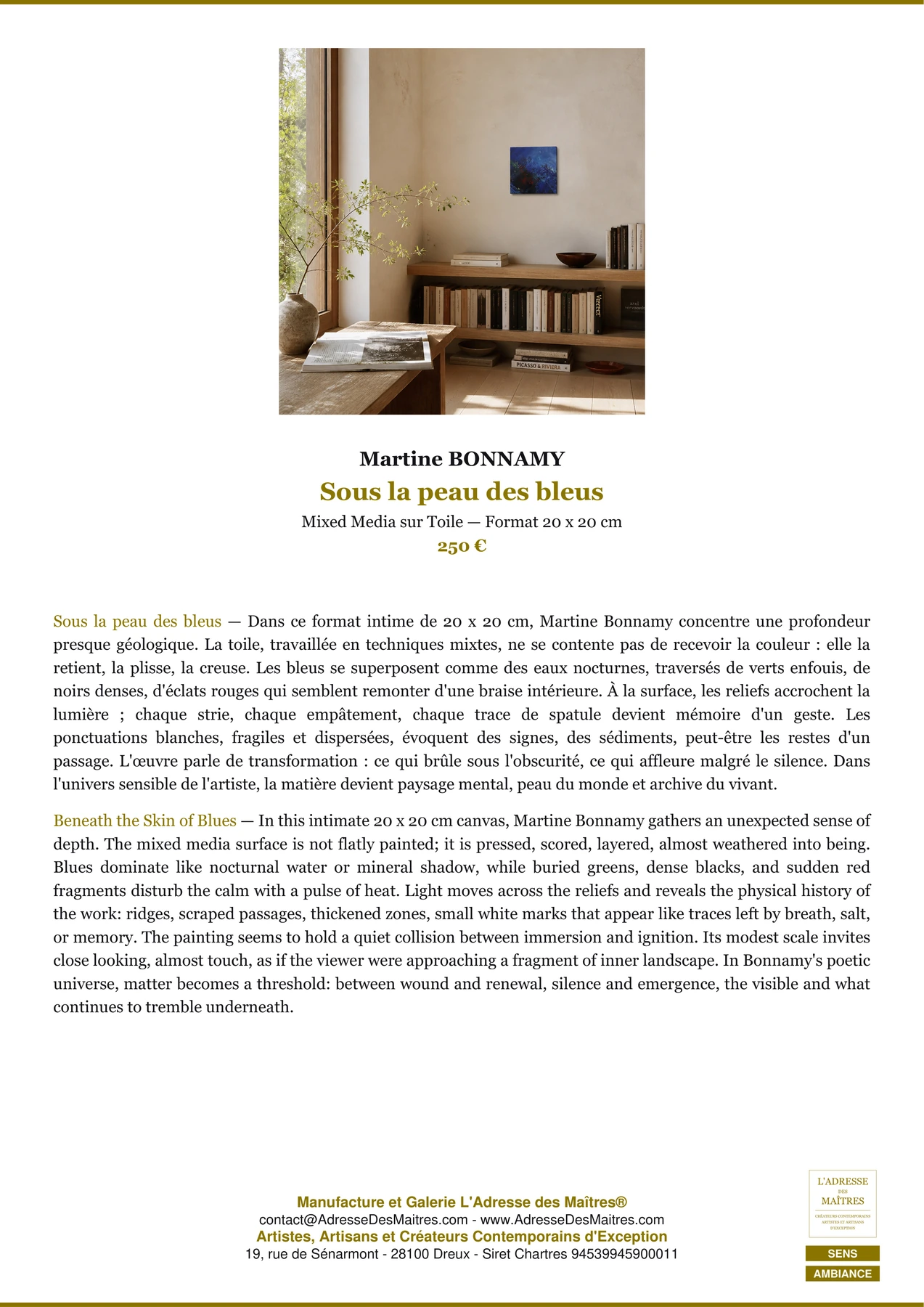 Fiche Premium Ambiance - Sous la peau des bleus - Martine BONNAMY - L'Adresse des Maîtres®
