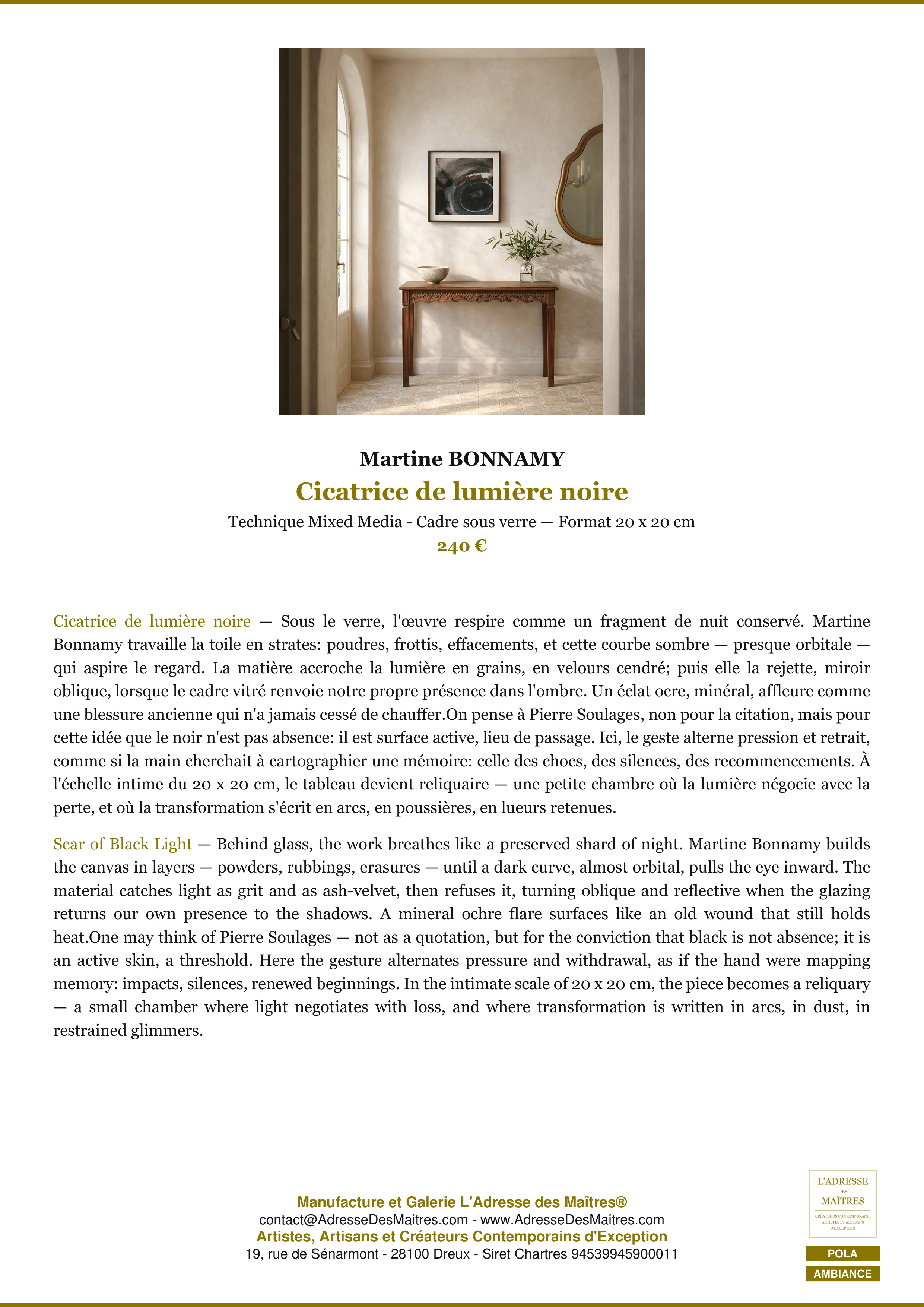 Fiche Premium Ambiance — Cicatrice de lumière noire — Martine BONNAMY — L'Adresse des Maîtres®