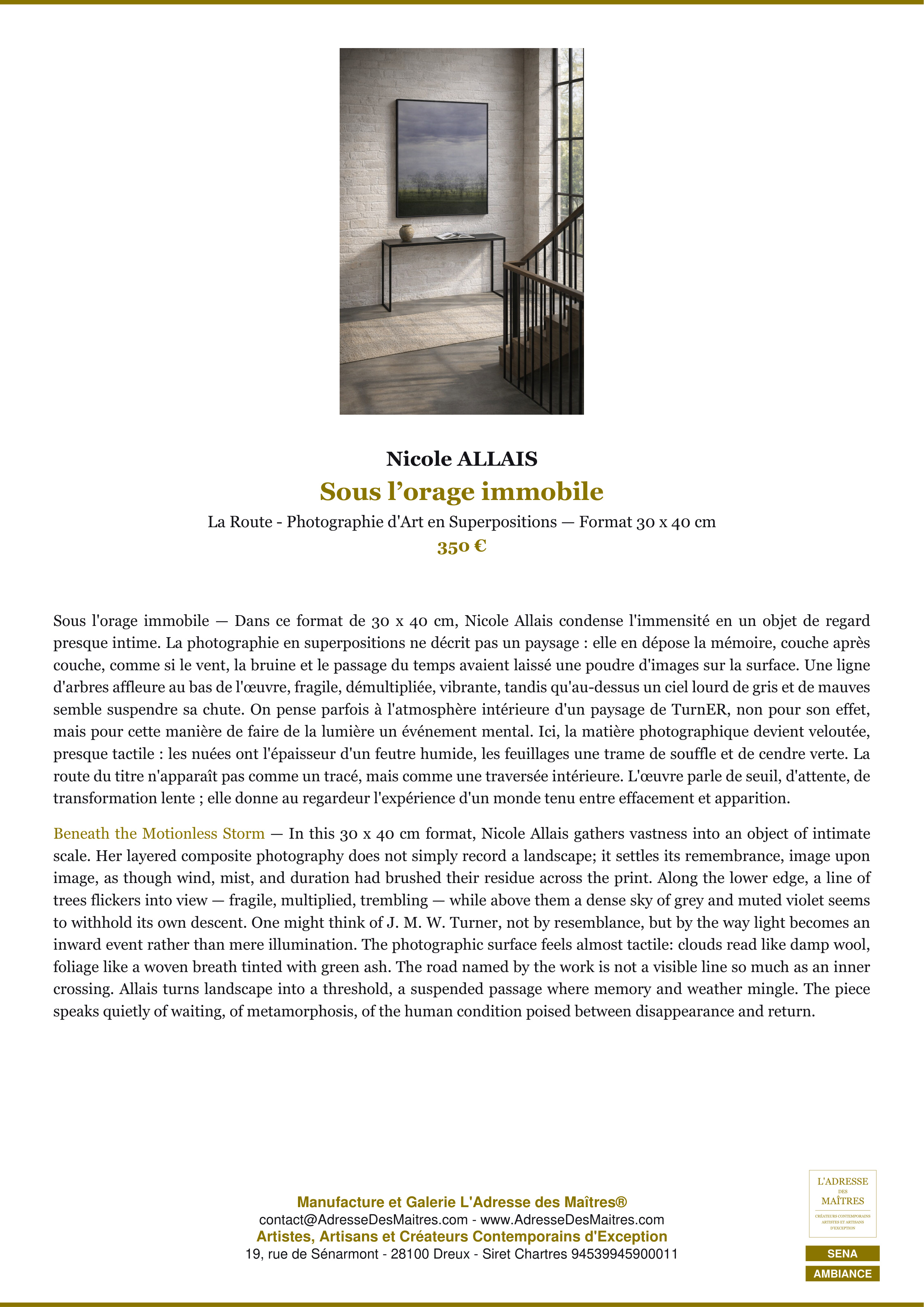 Fiche Premium Ambiance — Sous l’orage immobile — Nicole ALLAIS — L'Adresse des Maîtres®