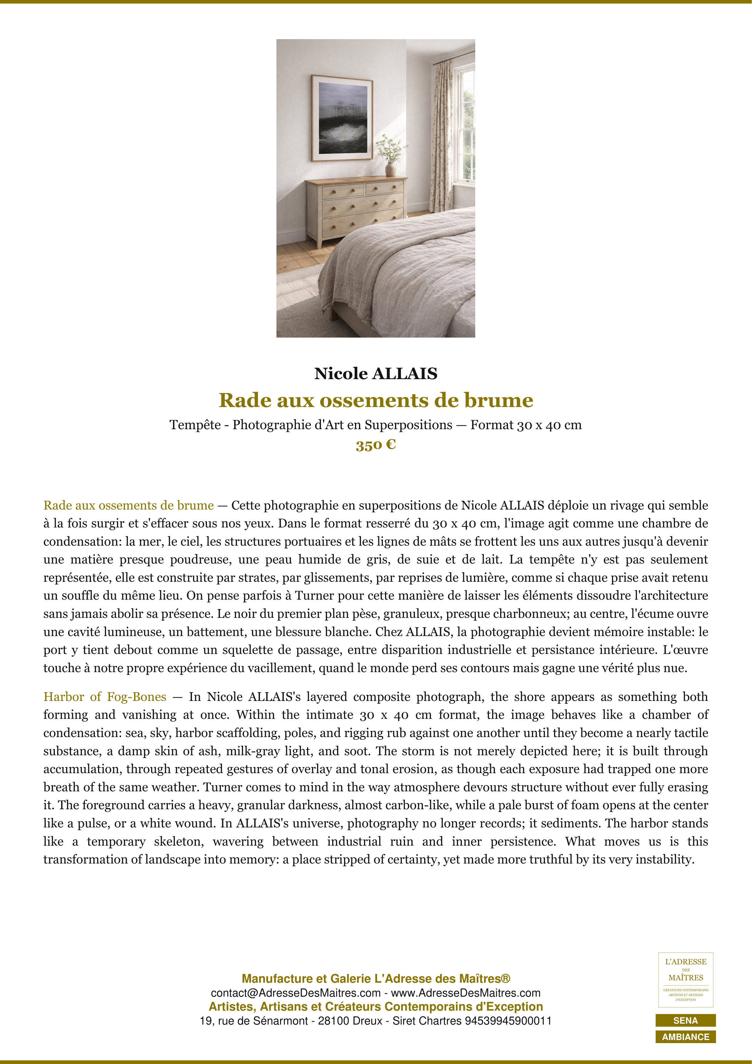 Fiche Premium Ambiance — Rade aux ossements de brume — Nicole ALLAIS — L'Adresse des Maîtres®