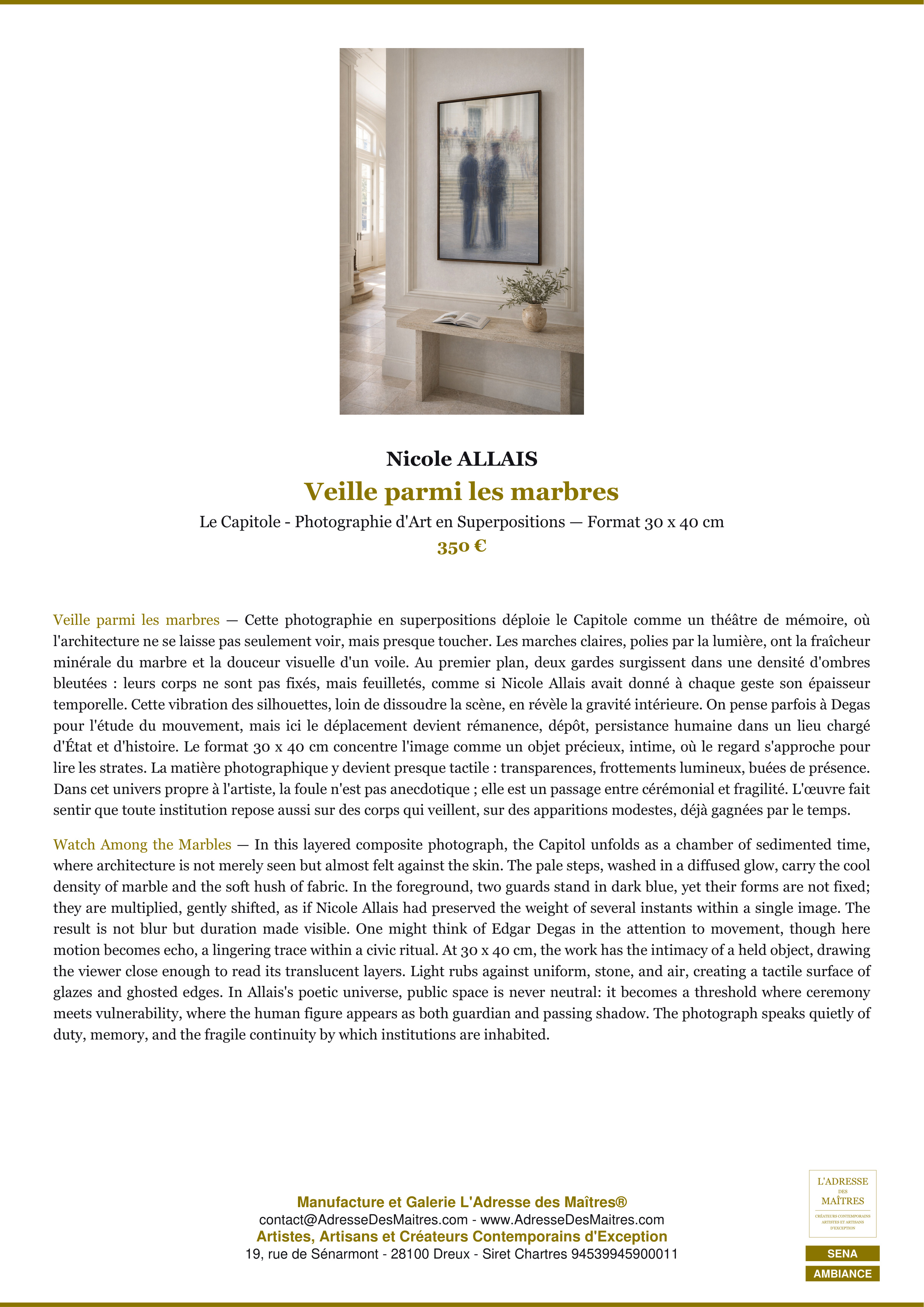 Fiche Premium Ambiance — Veille parmi les marbres — Nicole ALLAIS — L'Adresse des Maîtres®