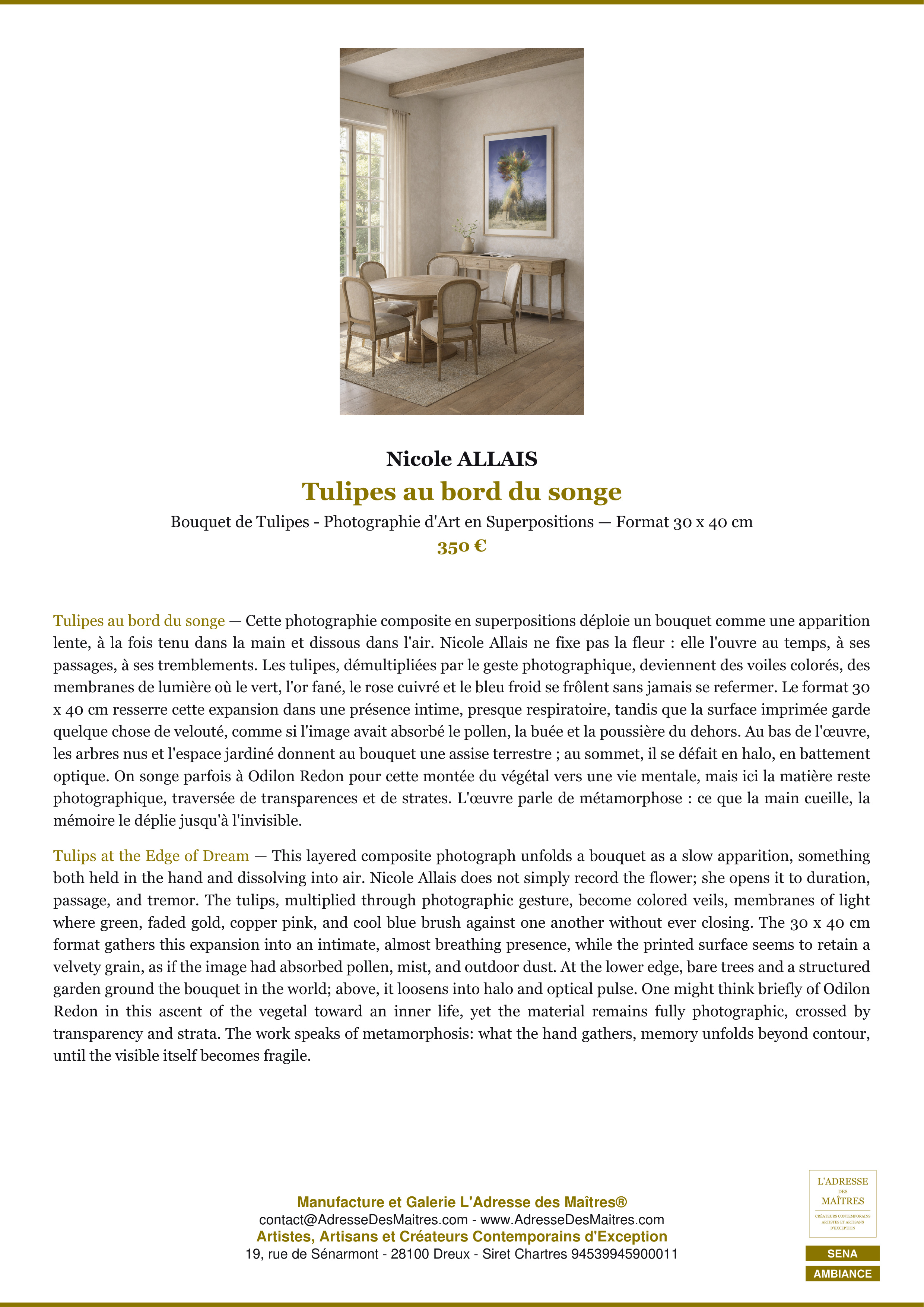 Fiche Premium Ambiance — Tulipes au bord du songe — Nicole ALLAIS — L'Adresse des Maîtres®