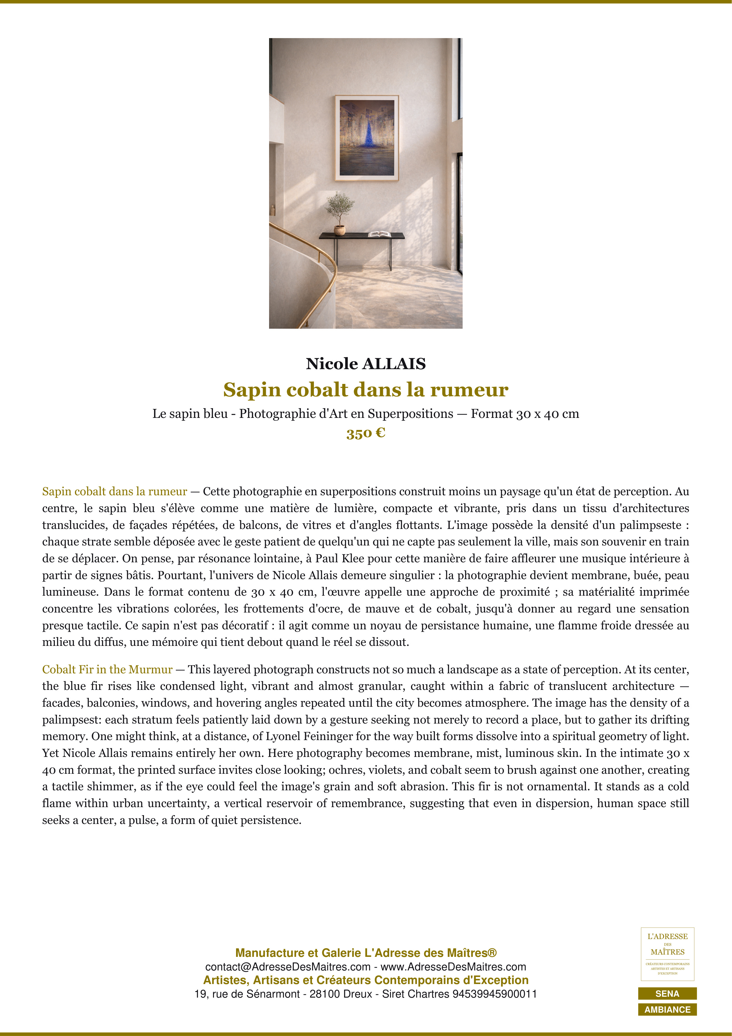 Fiche Premium Ambiance — Sapin cobalt dans la rumeur — Nicole ALLAIS — L'Adresse des Maîtres®