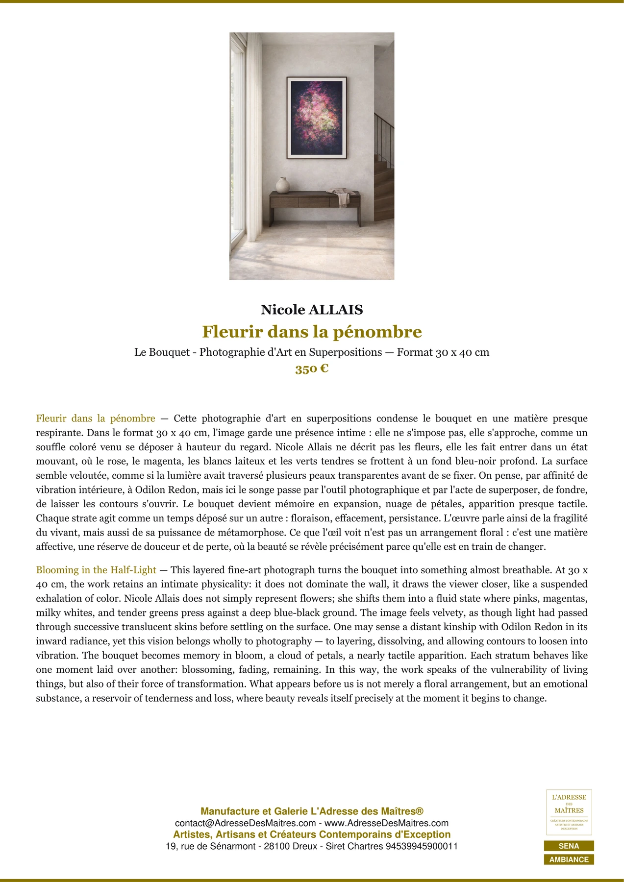 Fiche Premium Ambiance - Fleurir dans la pénombre - Nicole ALLAIS - L'Adresse des Maîtres®