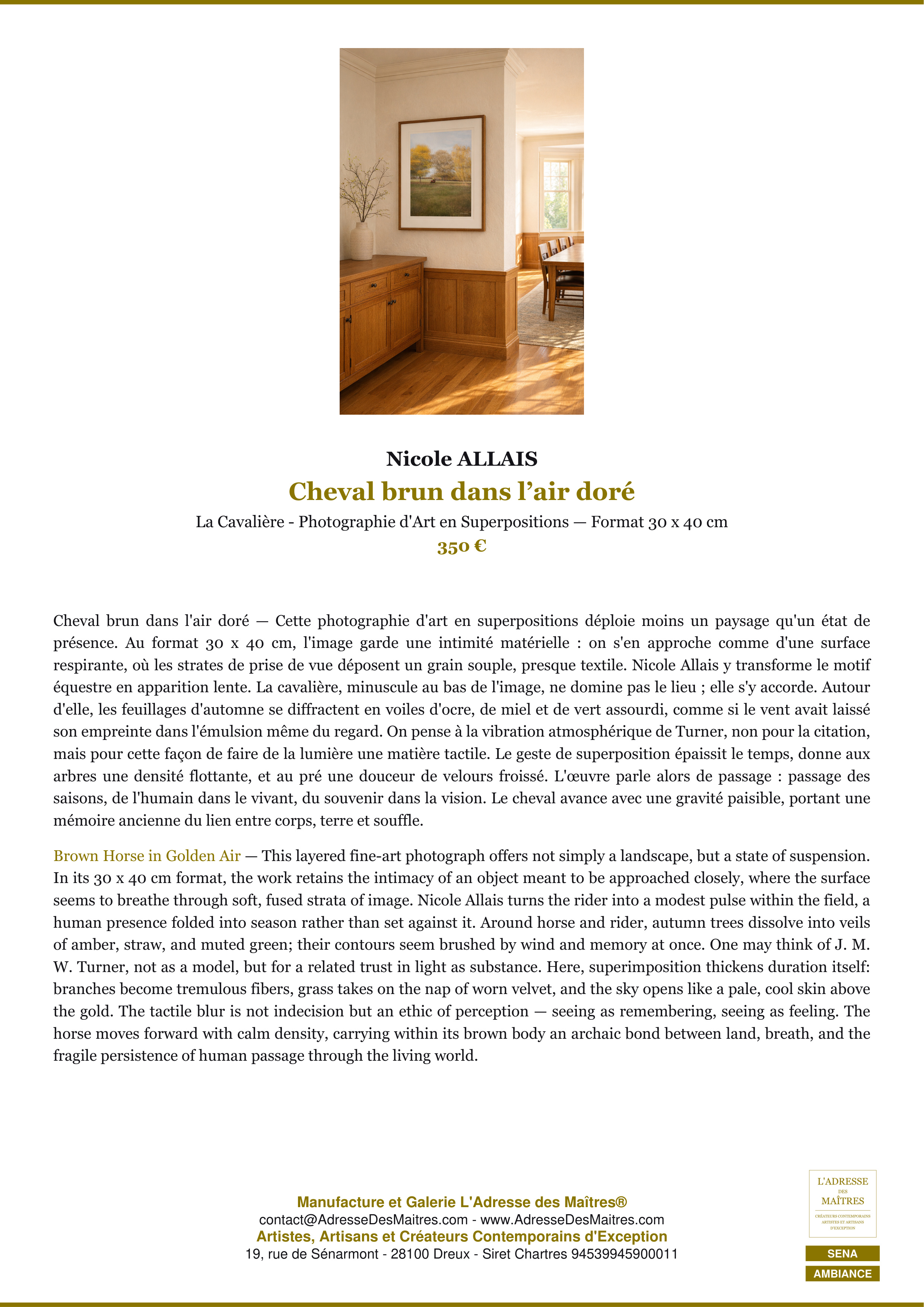 Fiche Premium Ambiance — Cheval brun dans l’air doré — Nicole ALLAIS — L'Adresse des Maîtres®