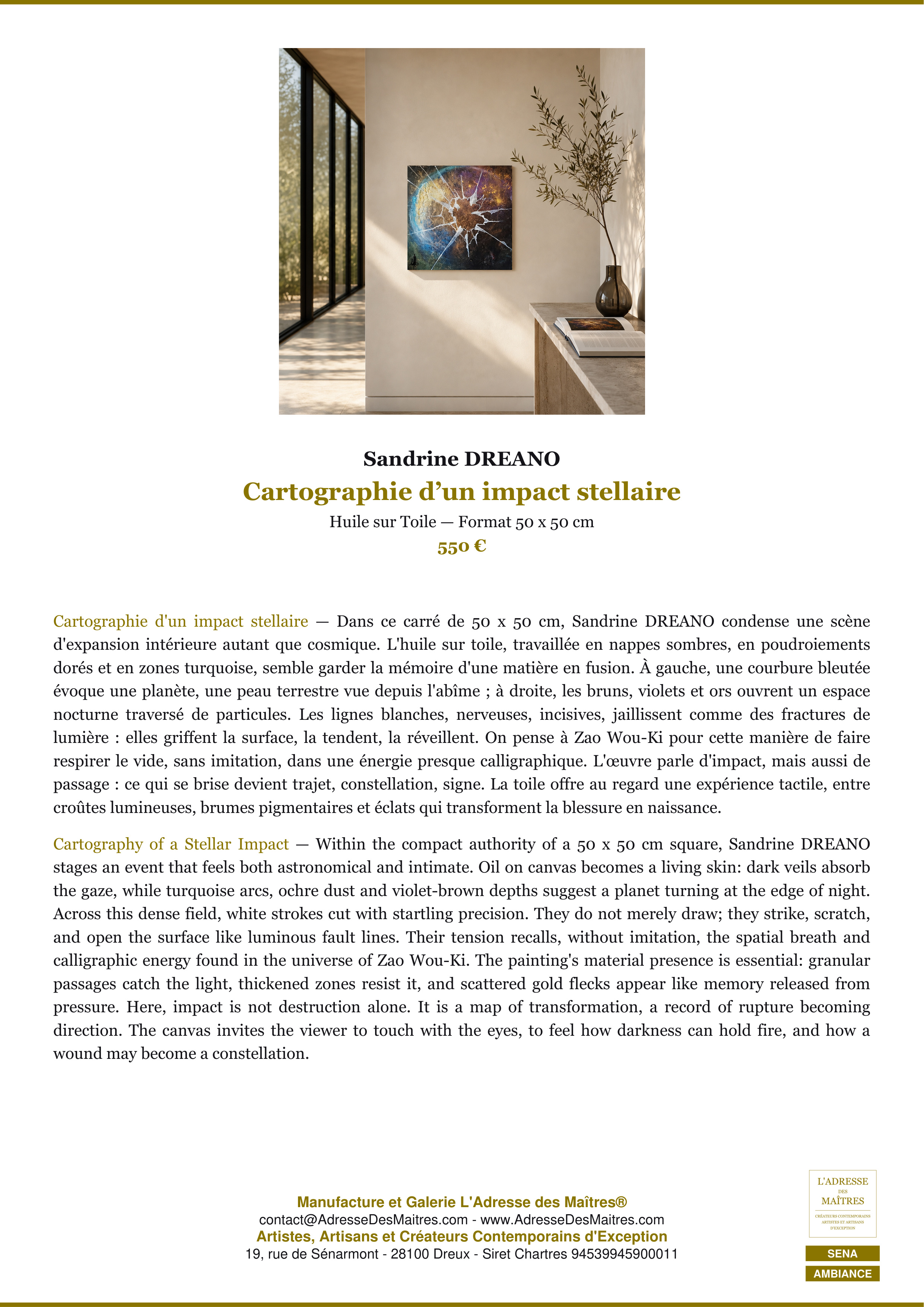 Fiche Premium Ambiance — Cartographie d’un impact stellaire — Sandrine DREANO — L'Adresse des Maîtres®