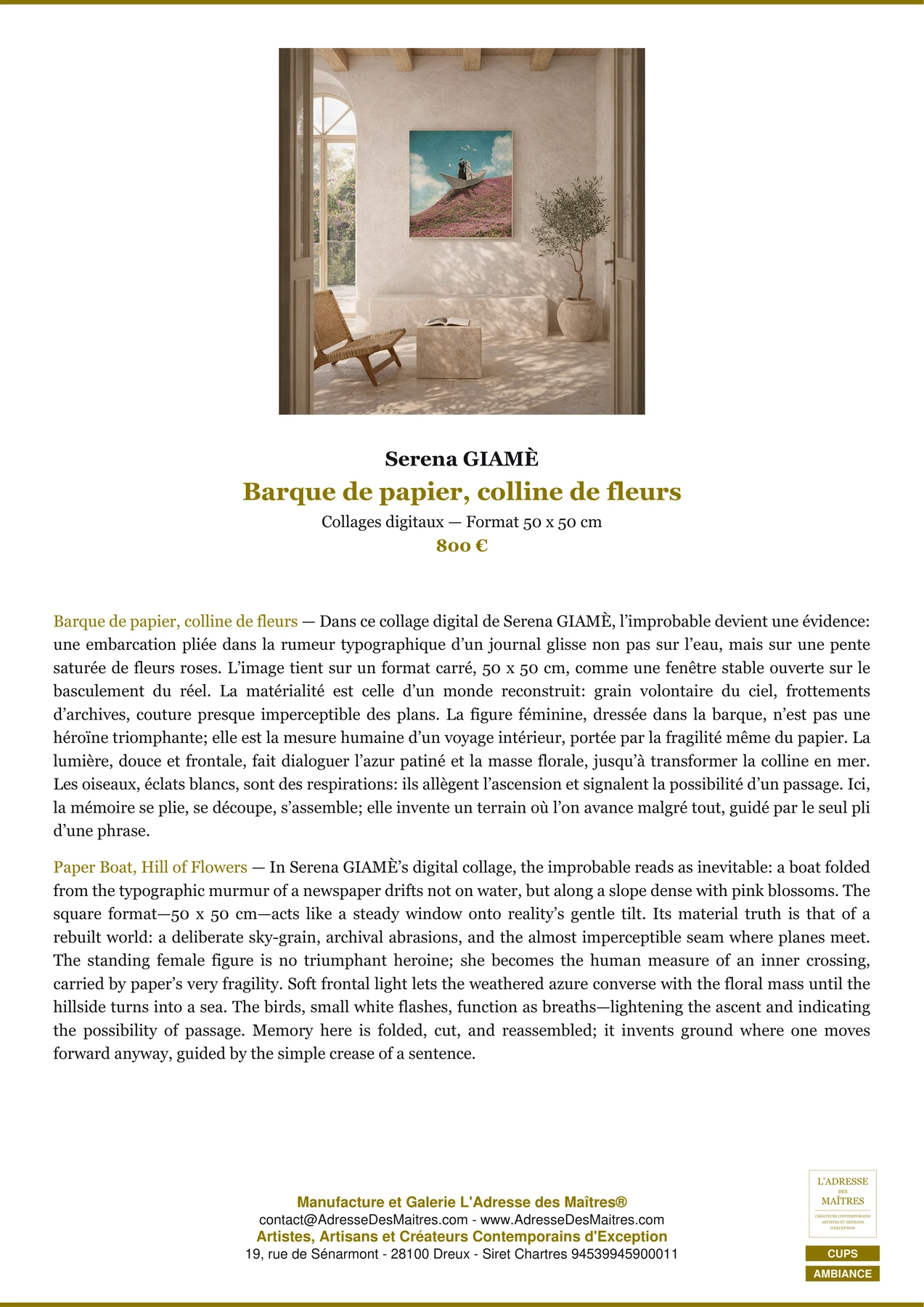 Fiche Premium Ambiance - Barque de papier, colline de fleurs - Serena GIAMÈ - L'Adresse des Maîtres®