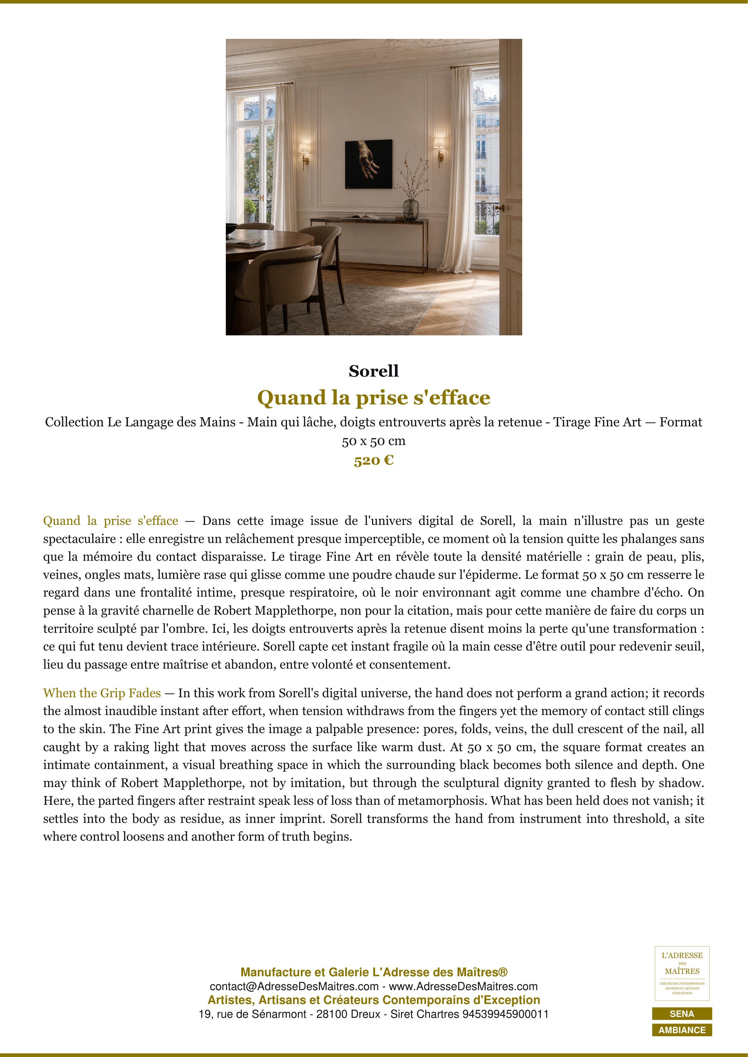 Fiche Premium Ambiance — Quand la prise s'efface — Sorell — L'Adresse des Maîtres®