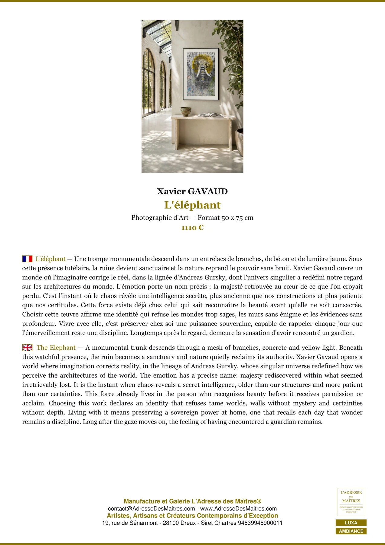 Fiche Premium Ambiance - L'éléphant - Xavier GAVAUD - L'Adresse des Maîtres®