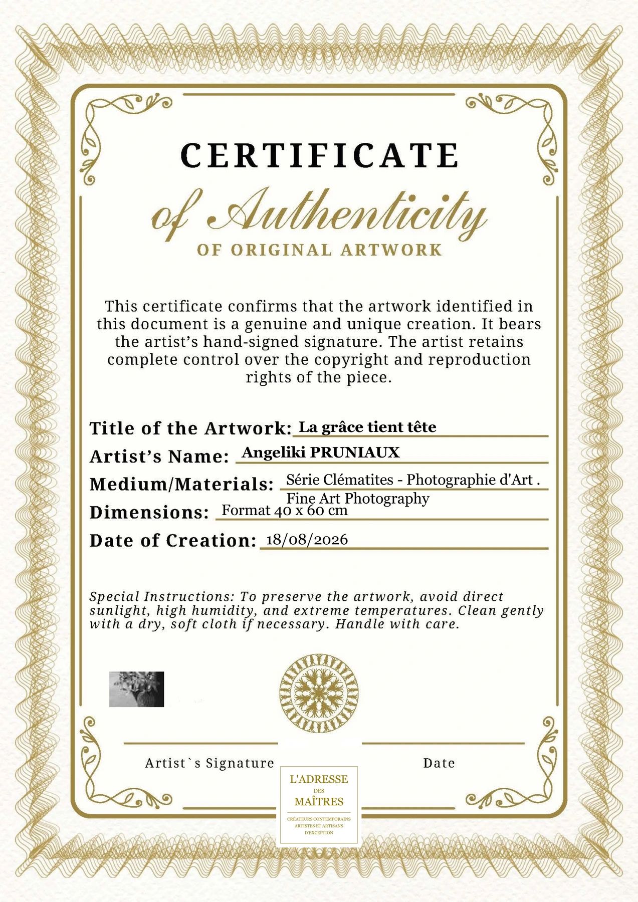 Certificat d'authenticité - La grâce tient tête - Angeliki PRUNIAUX