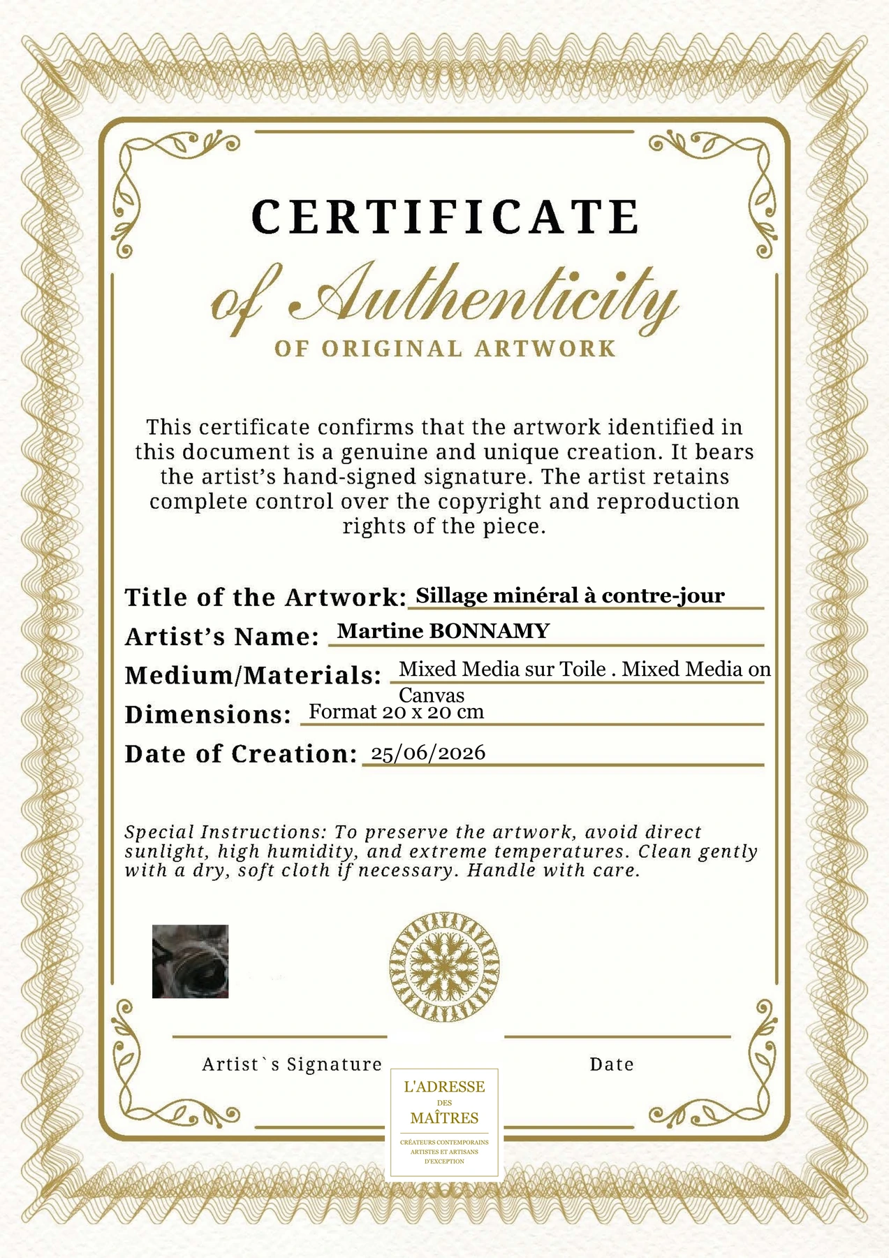 Certificat d'authenticité - Sillage minéral à contre-jour - Martine BONNAMY