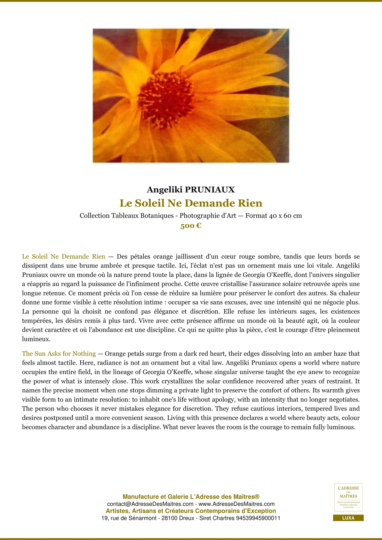 Le Soleil Ne Demande Rien — Fiche Premium, Collection Tableaux Botaniques - Photographie d'Art 40 x 60 cm, Angeliki PRUNIAUX