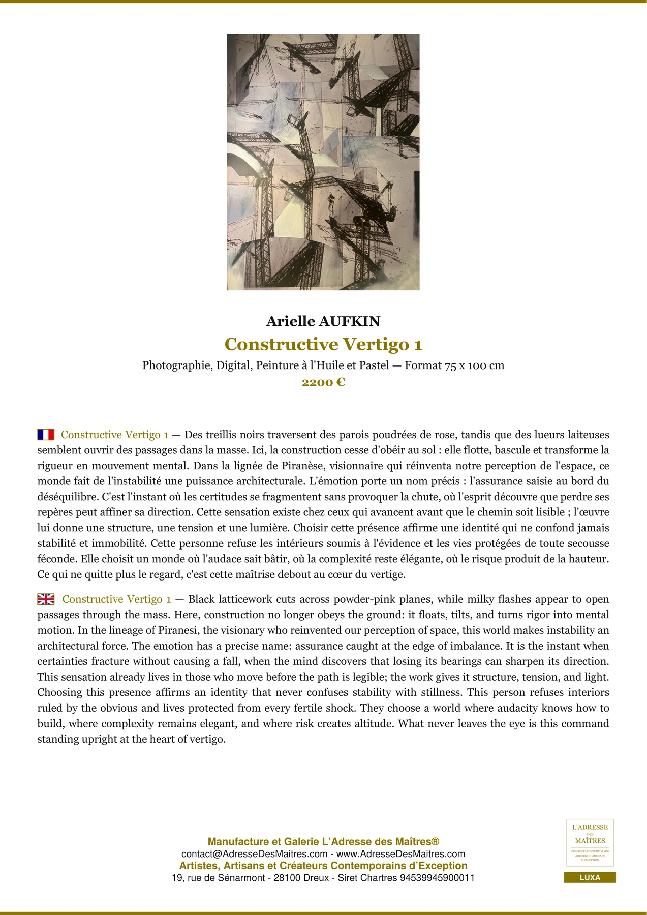Fiche Premium - Constructive Vertigo 1 - Arielle AUFKIN - L'Adresse des Maîtres®