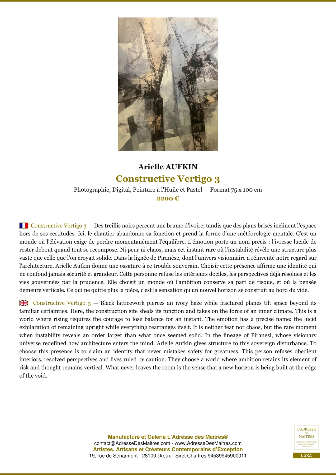 Fiche Premium - Constructive Vertigo 3 - Arielle AUFKIN - L'Adresse des Maîtres®