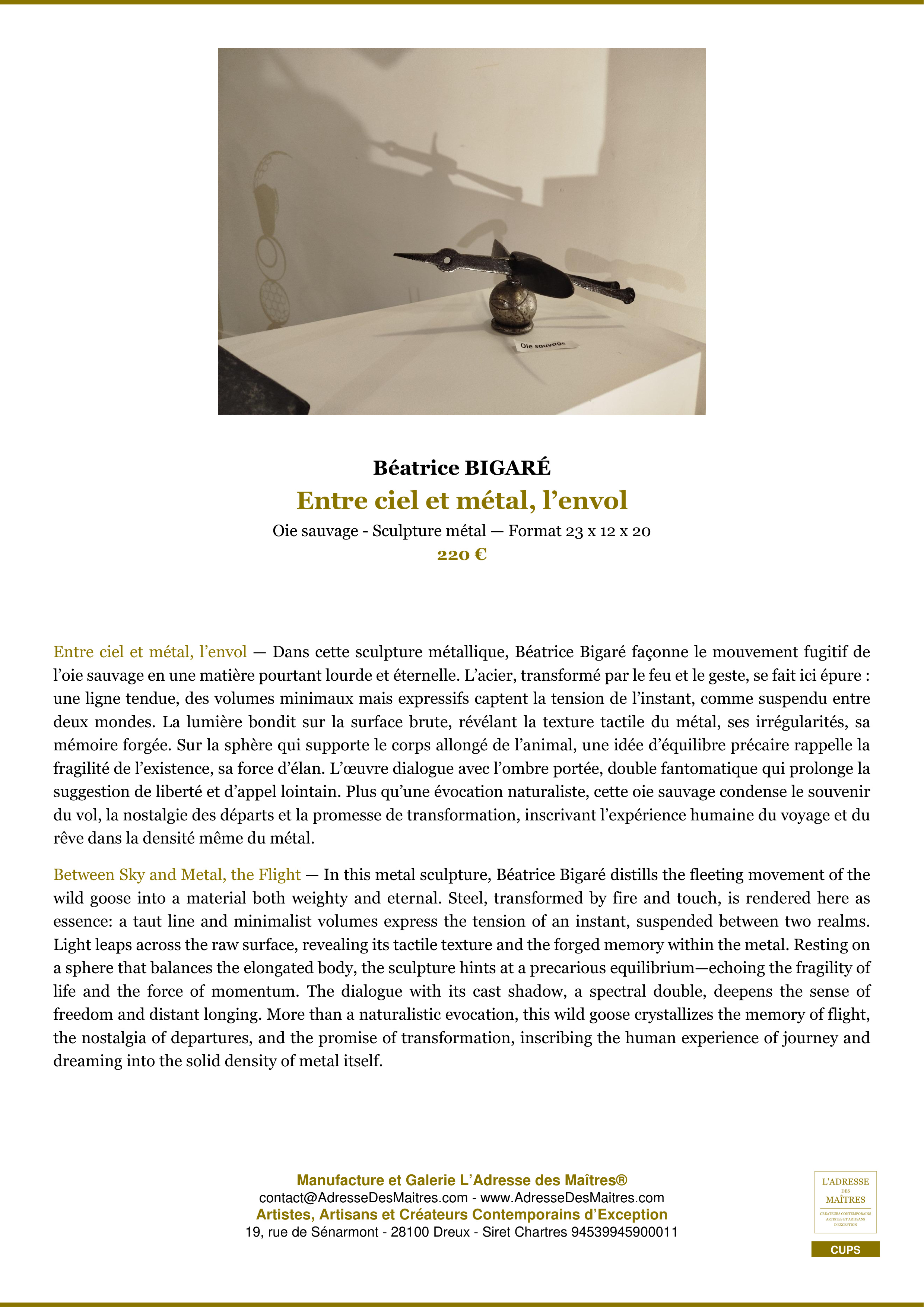 Fiche Premium — Entre ciel et métal, l’envol — Béatrice BIGARÉ — L'Adresse des Maîtres®