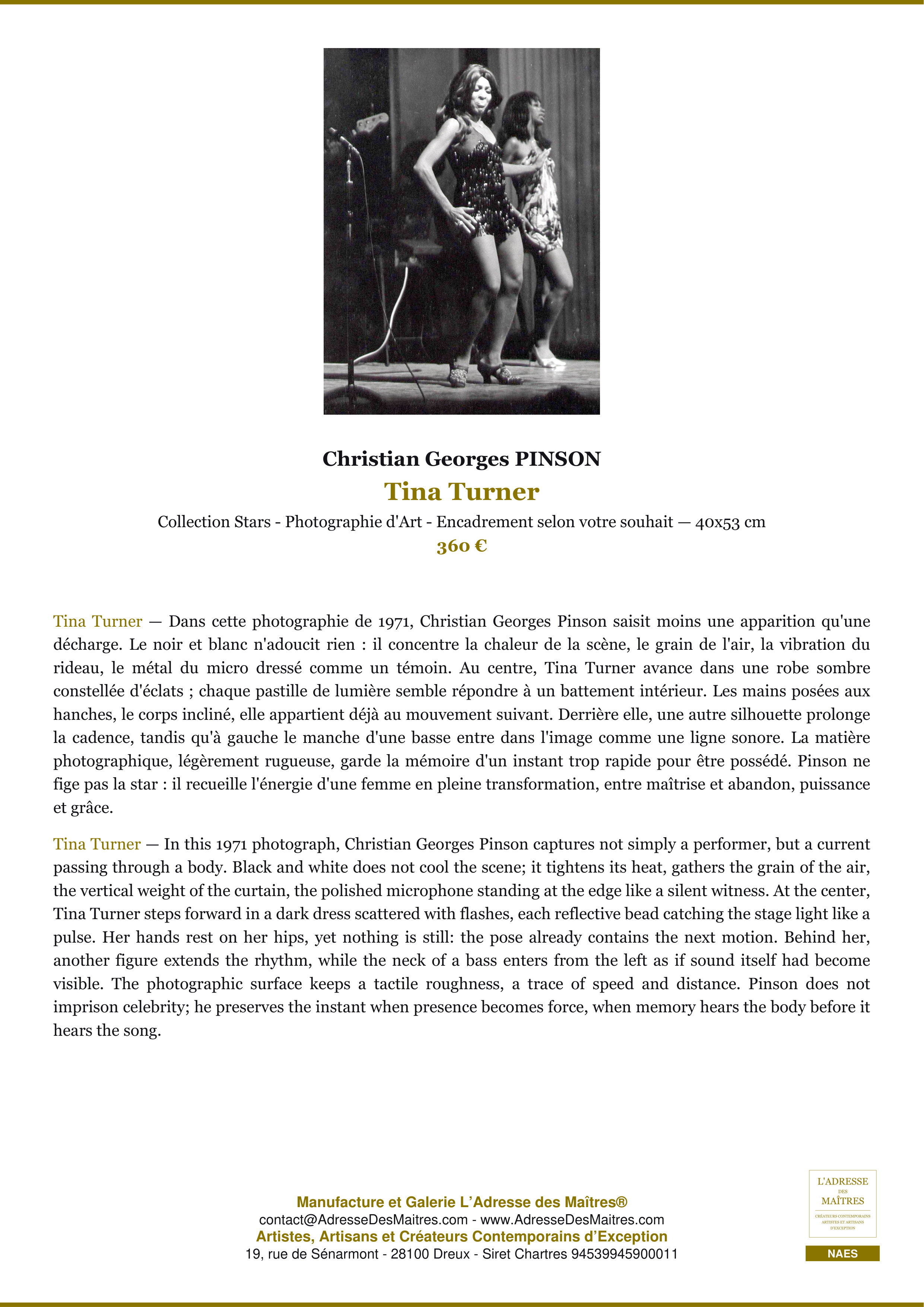 Fiche Premium — Tina Turner — Christian Georges PINSON — L'Adresse des Maîtres®
