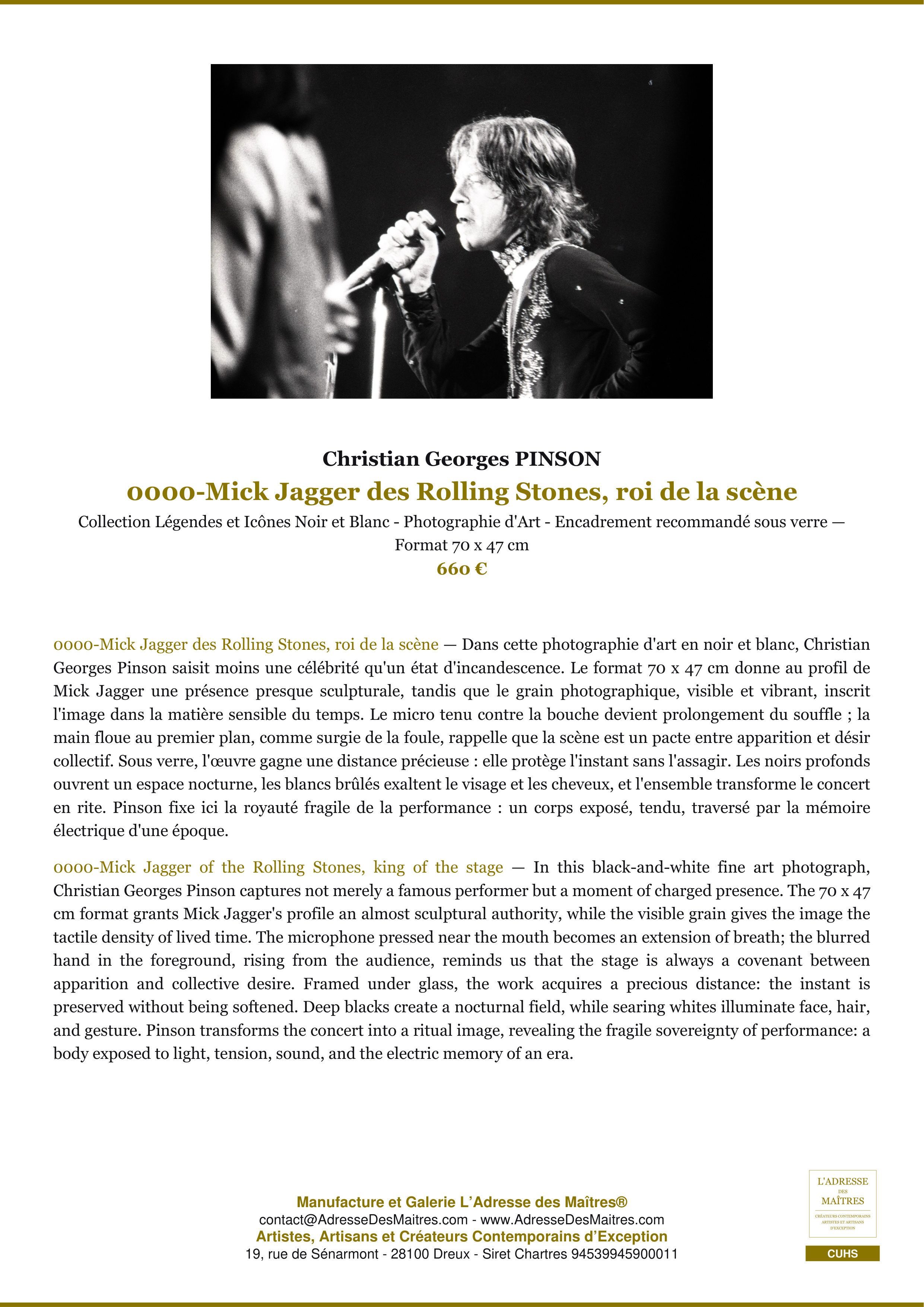 Fiche Premium — 0000-Mick Jagger des Rolling Stones, roi de la scène — Christian Georges PINSON — L'Adresse des Maîtres®