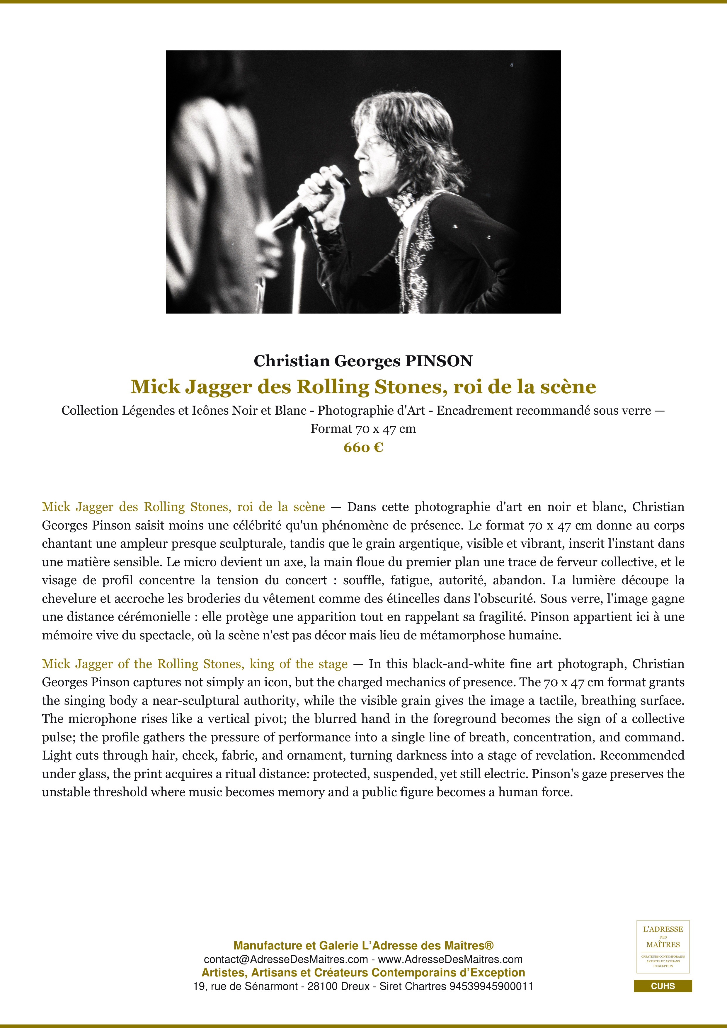 Fiche Premium — Mick Jagger des Rolling Stones, roi de la scène — Christian Georges PINSON — L'Adresse des Maîtres®