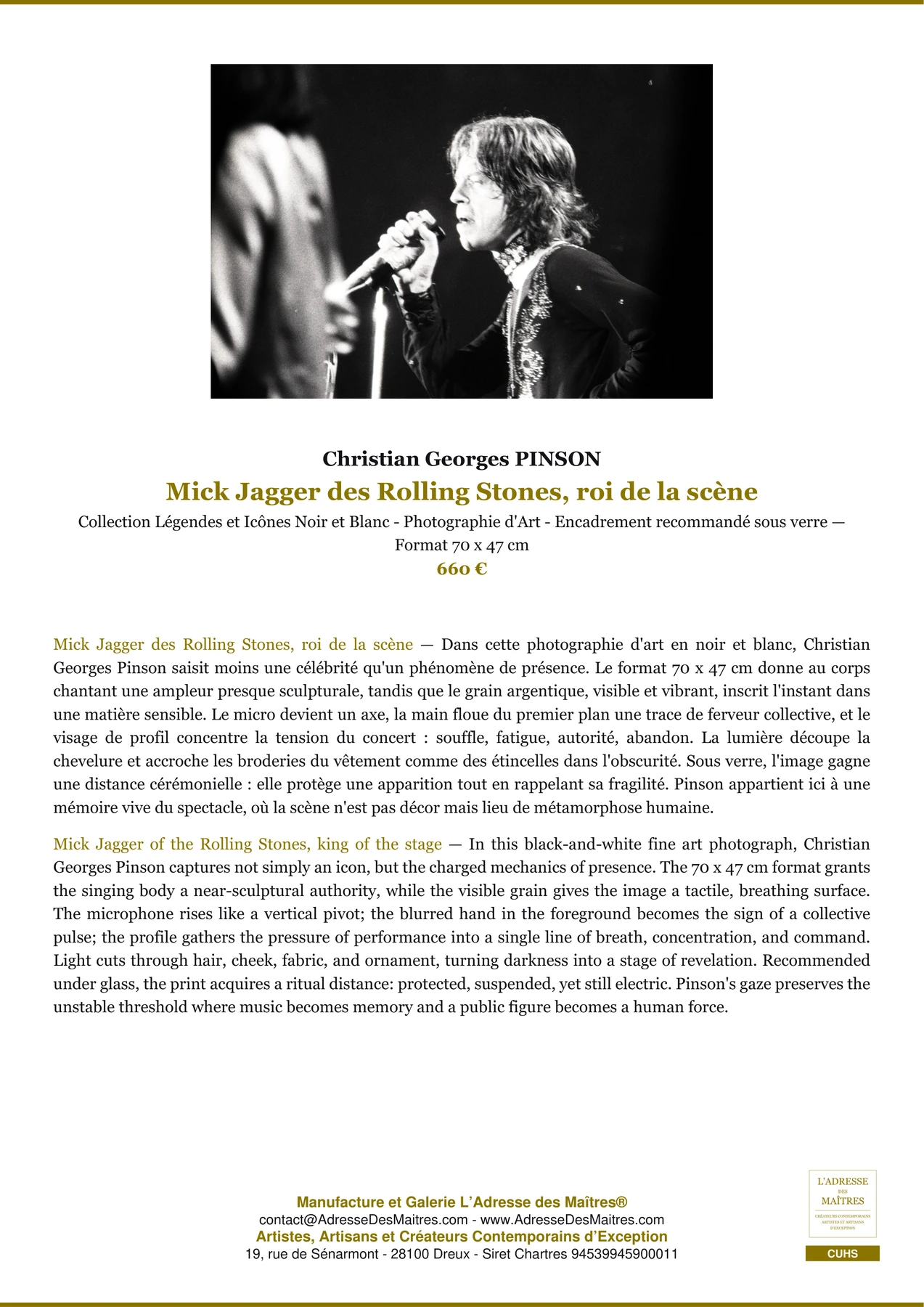 Fiche Premium - Mick Jagger des Rolling Stones, roi de la scène - Christian Georges PINSON - L'Adresse des Maîtres®