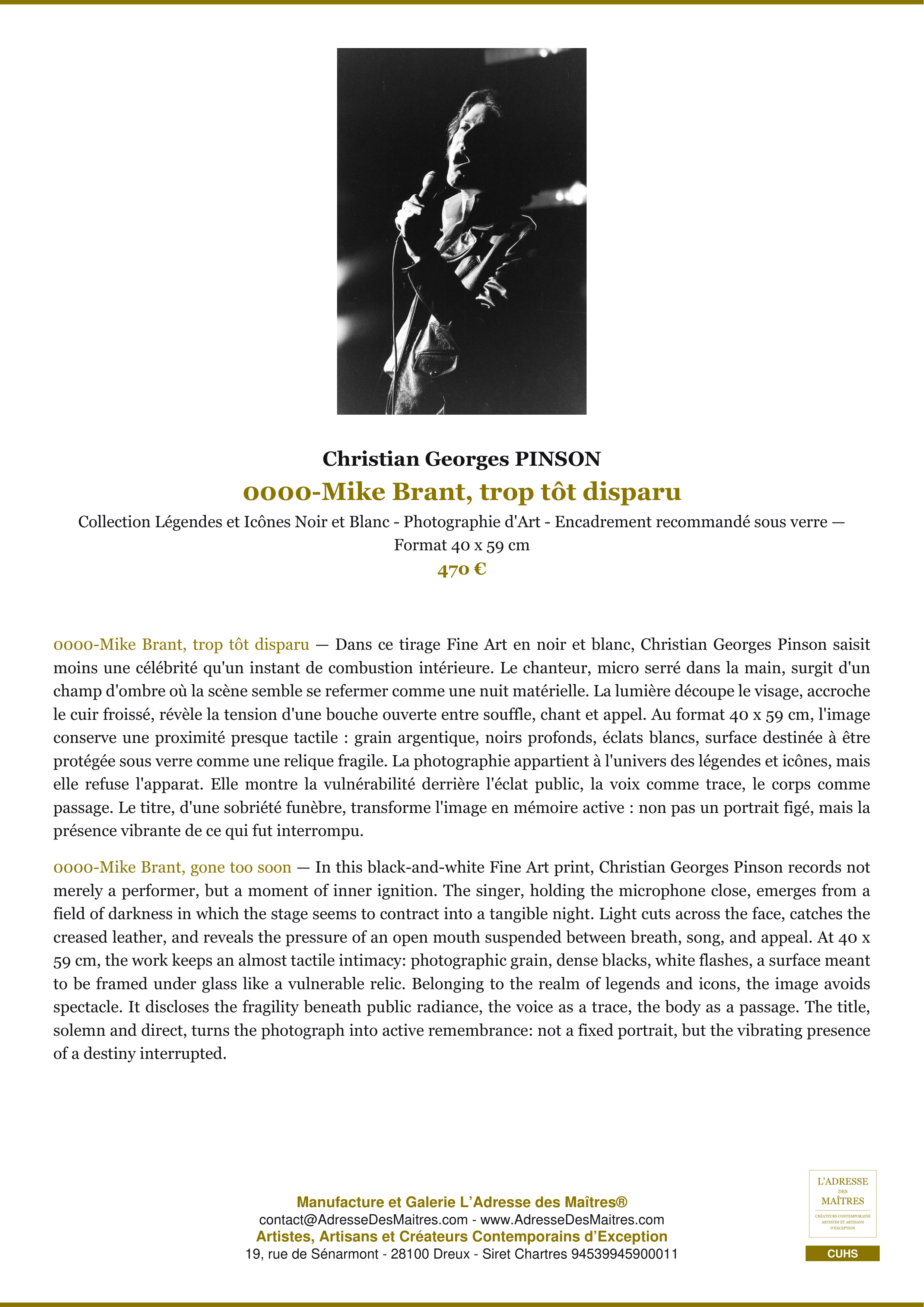 Fiche Premium — 0000-Mike Brant, trop tôt disparu — Christian Georges PINSON — L'Adresse des Maîtres®