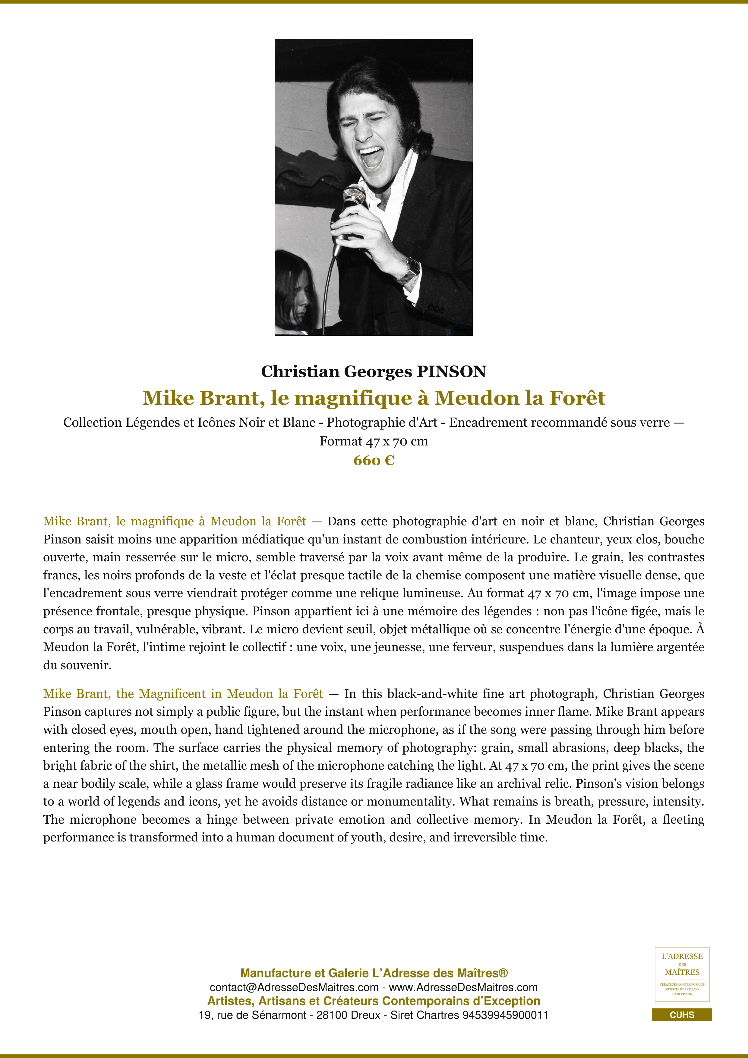 Fiche Premium — Mike Brant, le magnifique à Meudon la Forêt — Christian Georges PINSON — L'Adresse des Maîtres®
