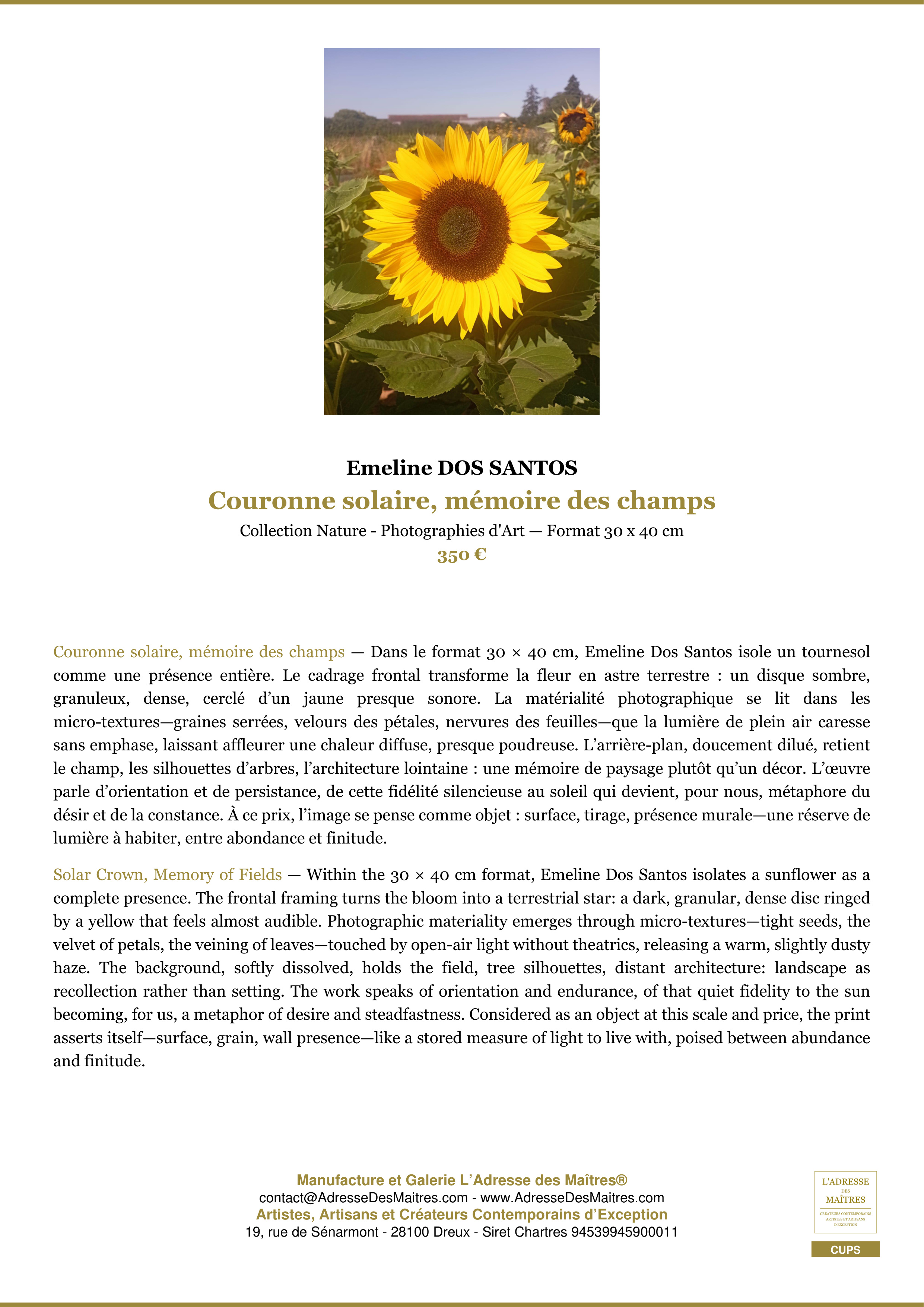Fiche Premium — Couronne solaire, mémoire des champs — Emeline DOS SANTOS — L'Adresse des Maîtres®