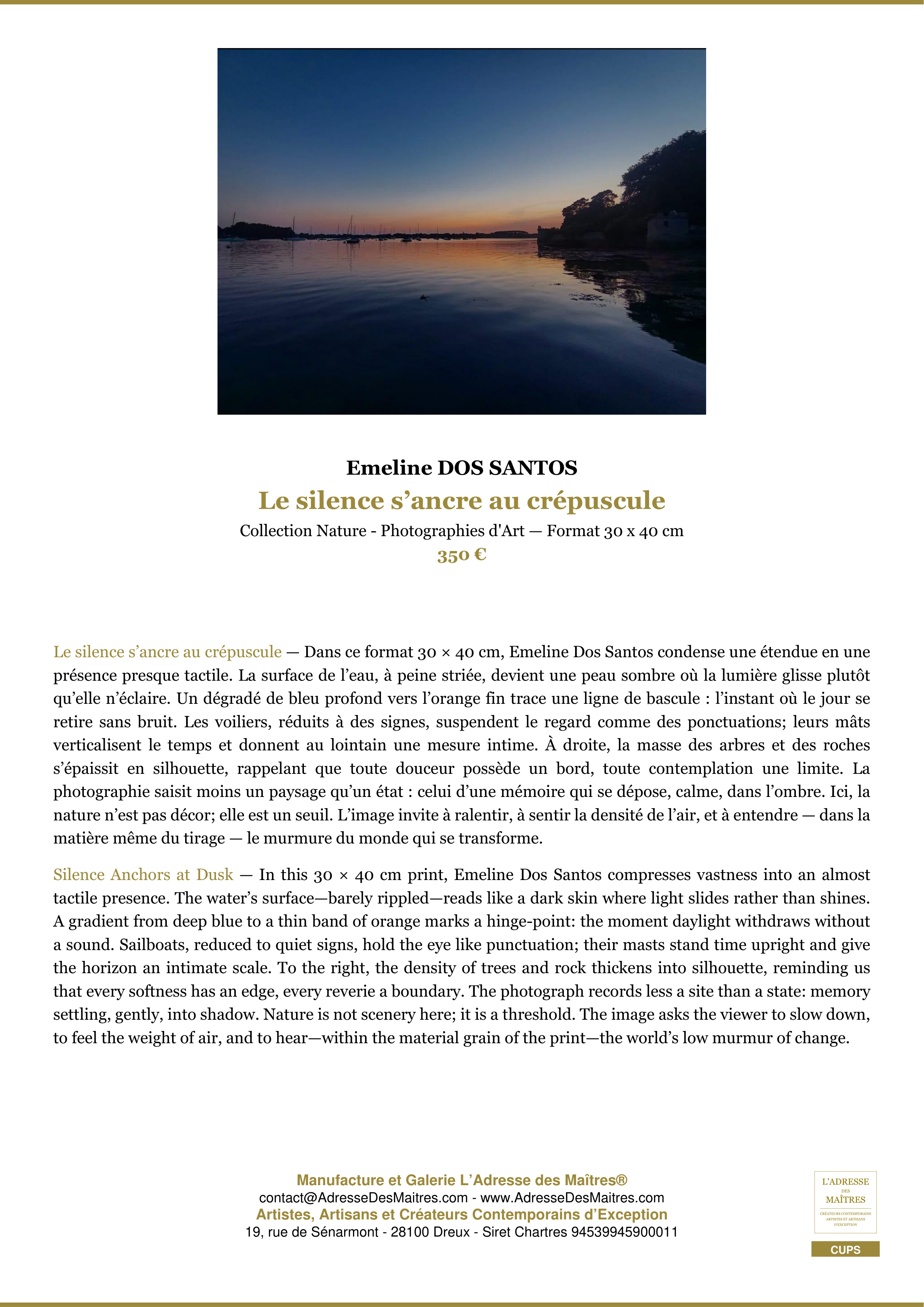 Fiche Premium — Le silence s’ancre au crépuscule — Emeline DOS SANTOS — L'Adresse des Maîtres®