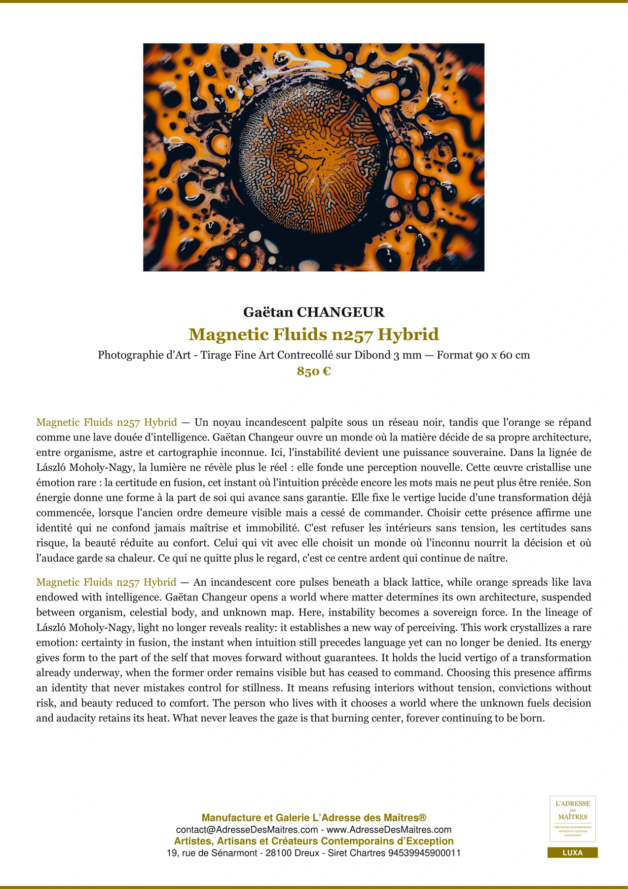 Fiche Premium - Magnetic Fluids n257 Hybrid - Gaëtan CHANGEUR - L'Adresse des Maîtres®