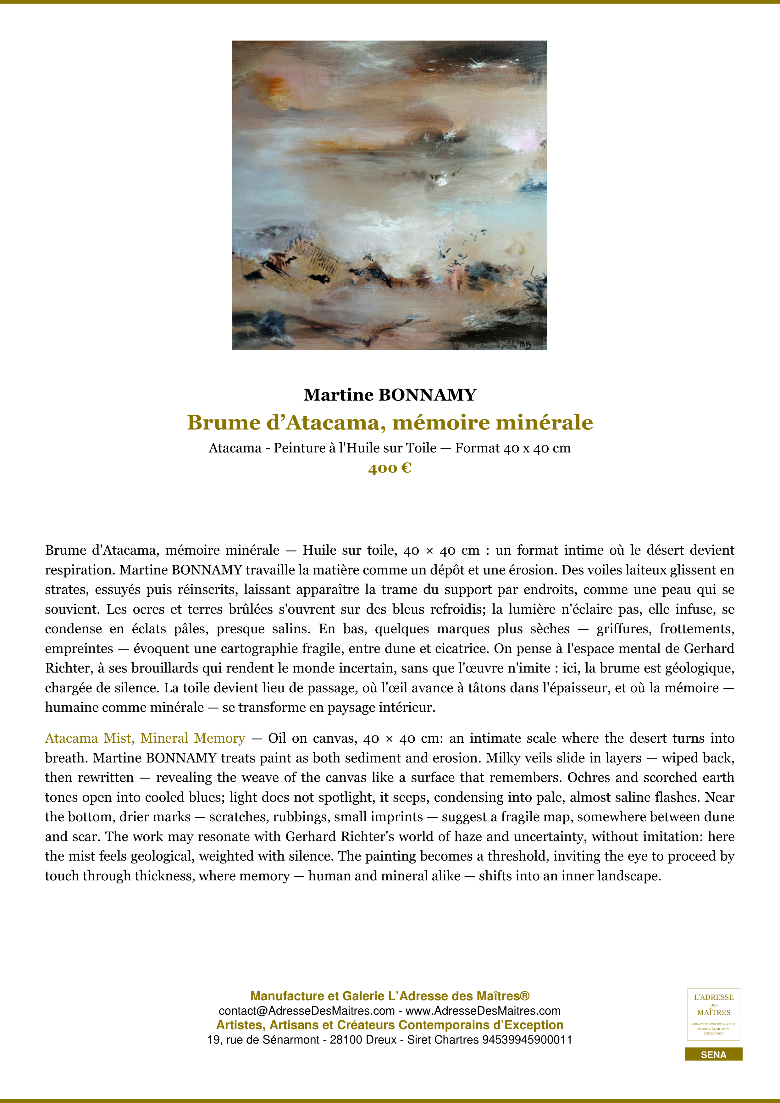 Fiche Premium — Brume d’Atacama, mémoire minérale — Martine BONNAMY — L'Adresse des Maîtres®