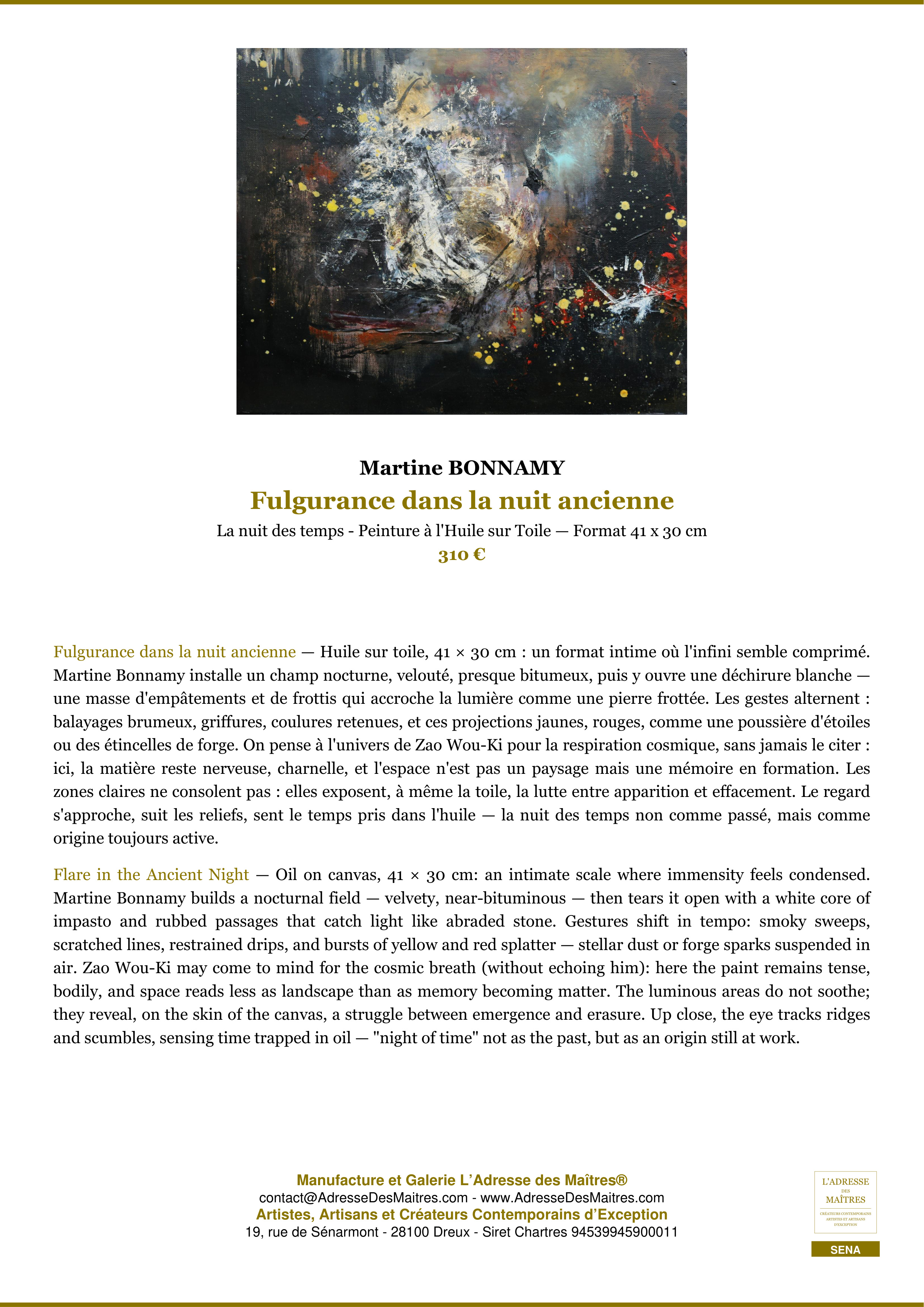 Fiche Premium — Fulgurance dans la nuit ancienne — Martine BONNAMY — L'Adresse des Maîtres®