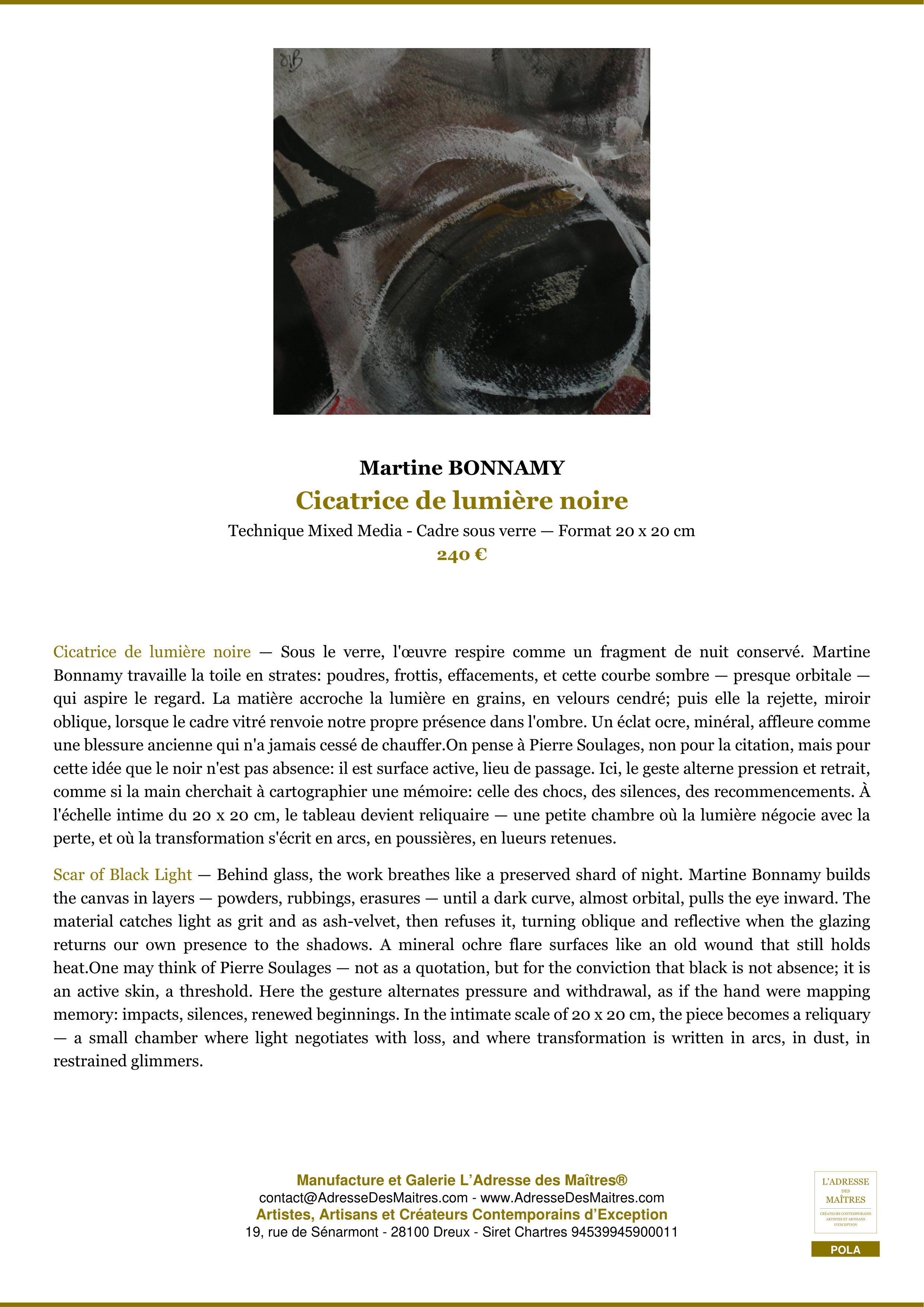 Fiche Premium — Cicatrice de lumière noire — Martine BONNAMY — L'Adresse des Maîtres®