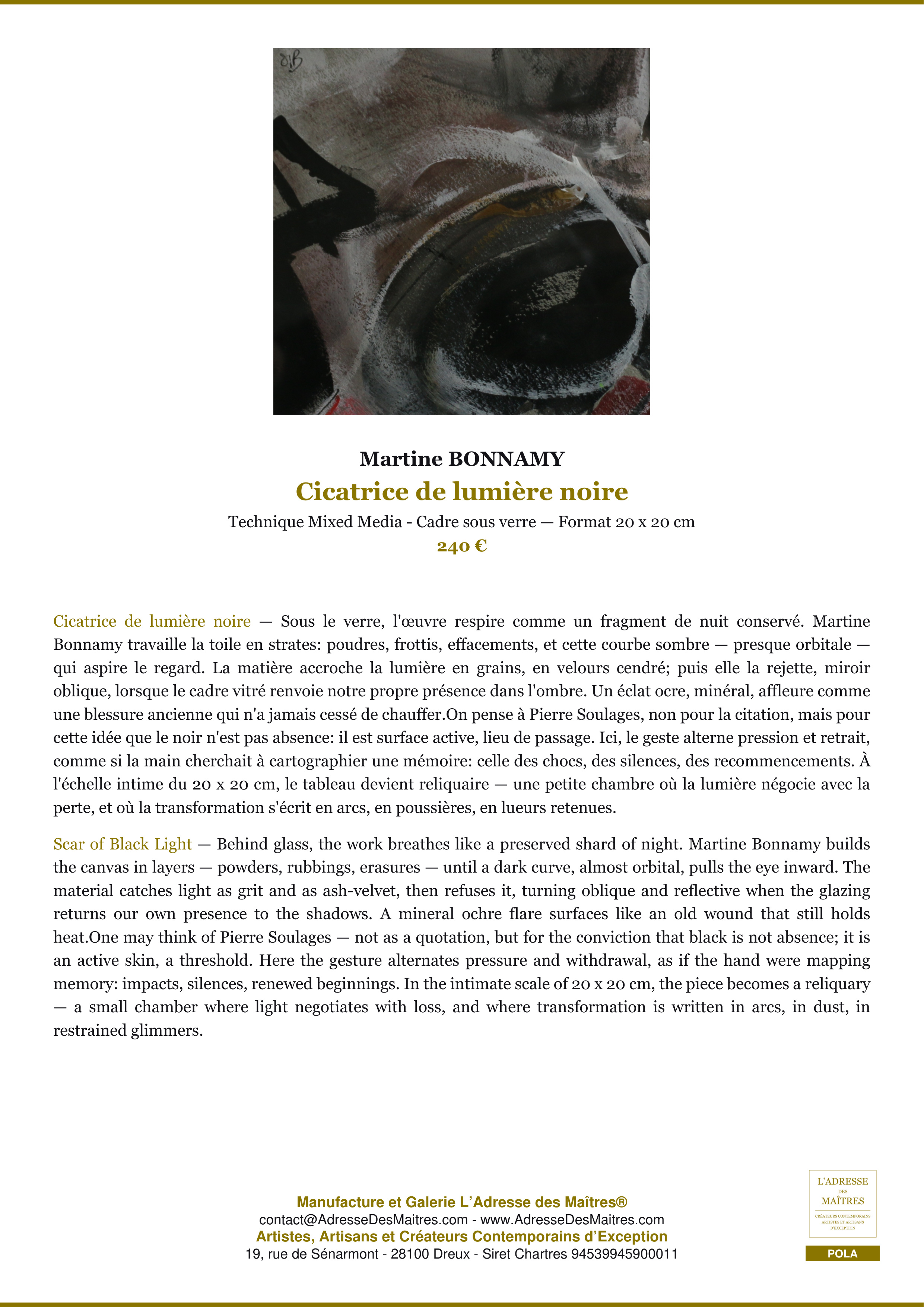 Fiche Premium — Cicatrice de lumière noire — Martine BONNAMY — L'Adresse des Maîtres®