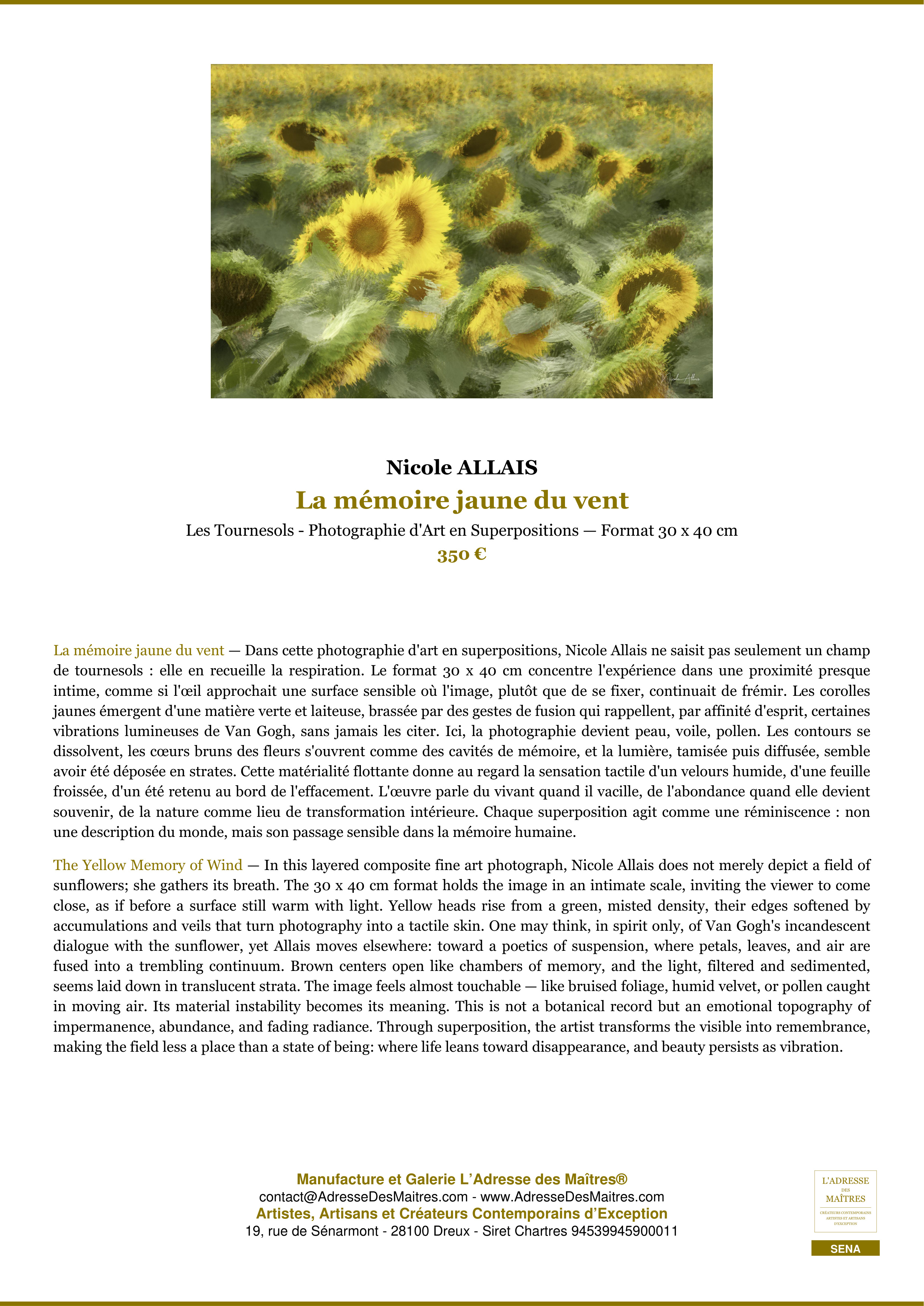 Fiche Premium — La mémoire jaune du vent — Nicole ALLAIS — L'Adresse des Maîtres®