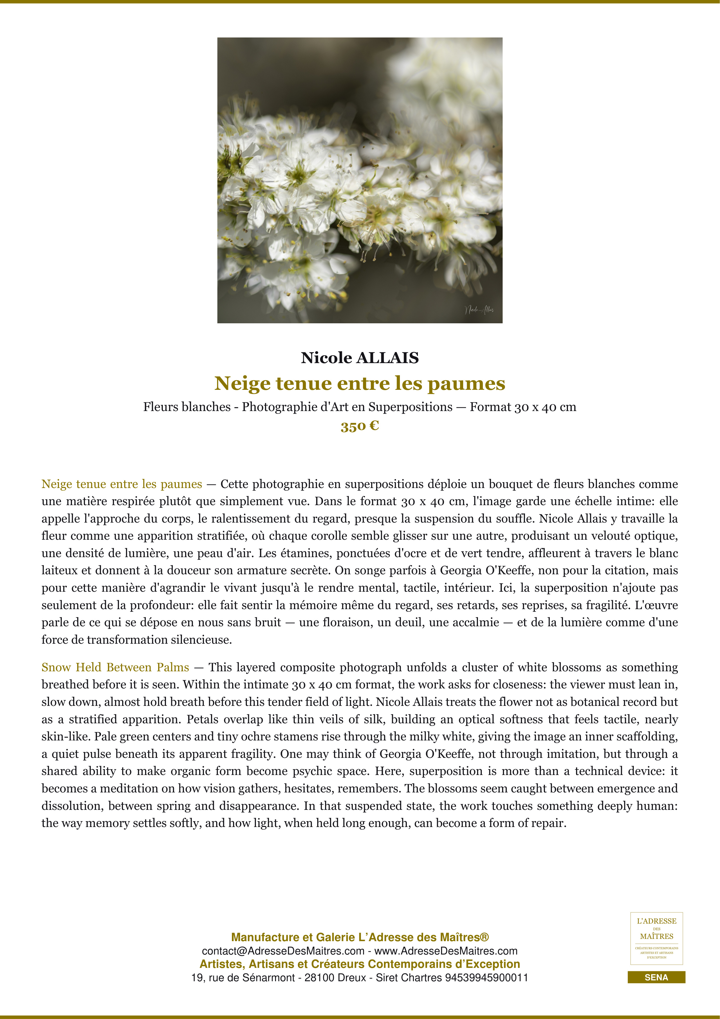 Fiche Premium — Neige tenue entre les paumes — Nicole ALLAIS — L'Adresse des Maîtres®